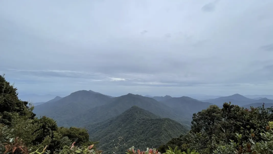 Gunung Ulu Sepat Rumpun Bamboo Perak
