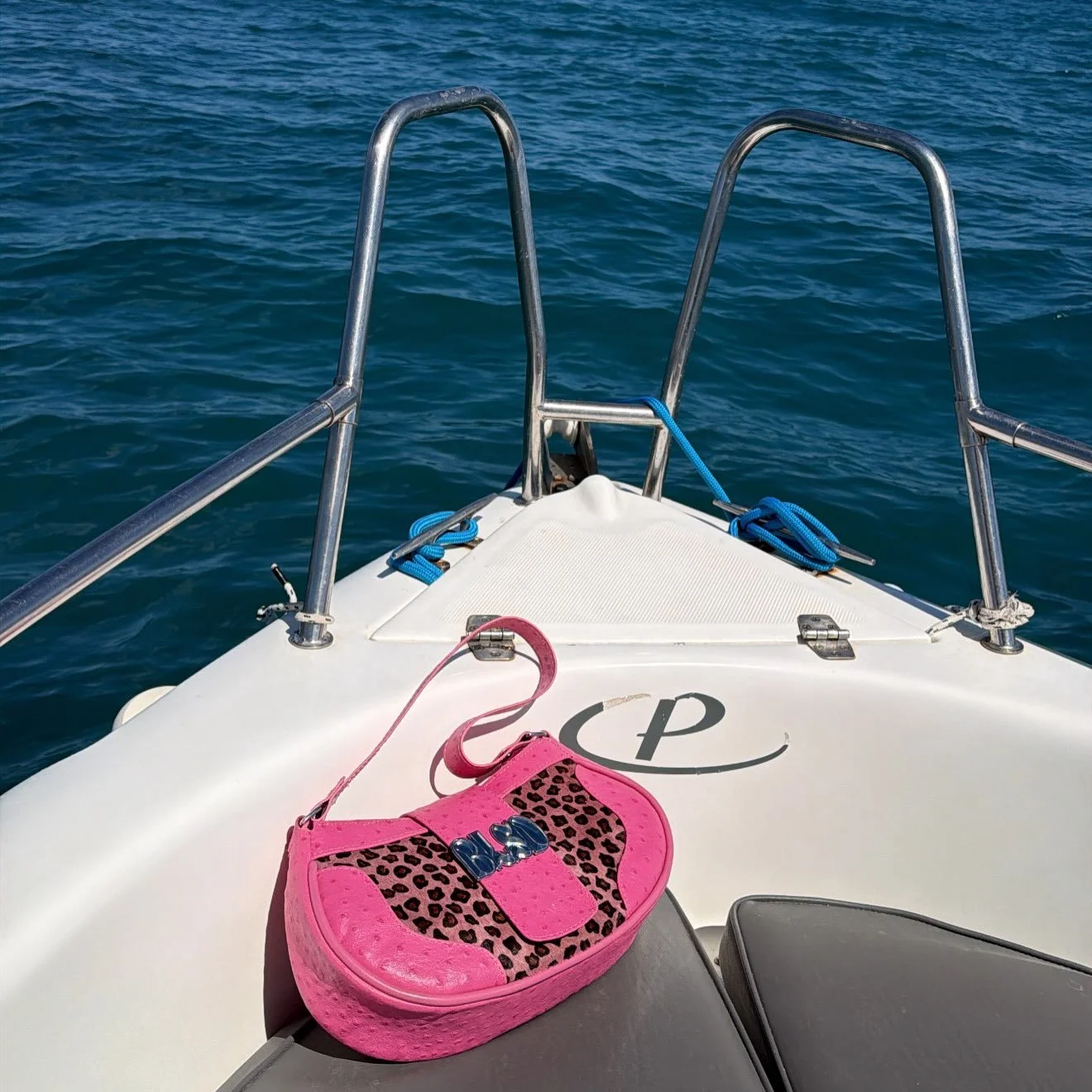 A BLSD morning! as our client stated. birthday trip + the bag had to come with her.🩷🐆🌊