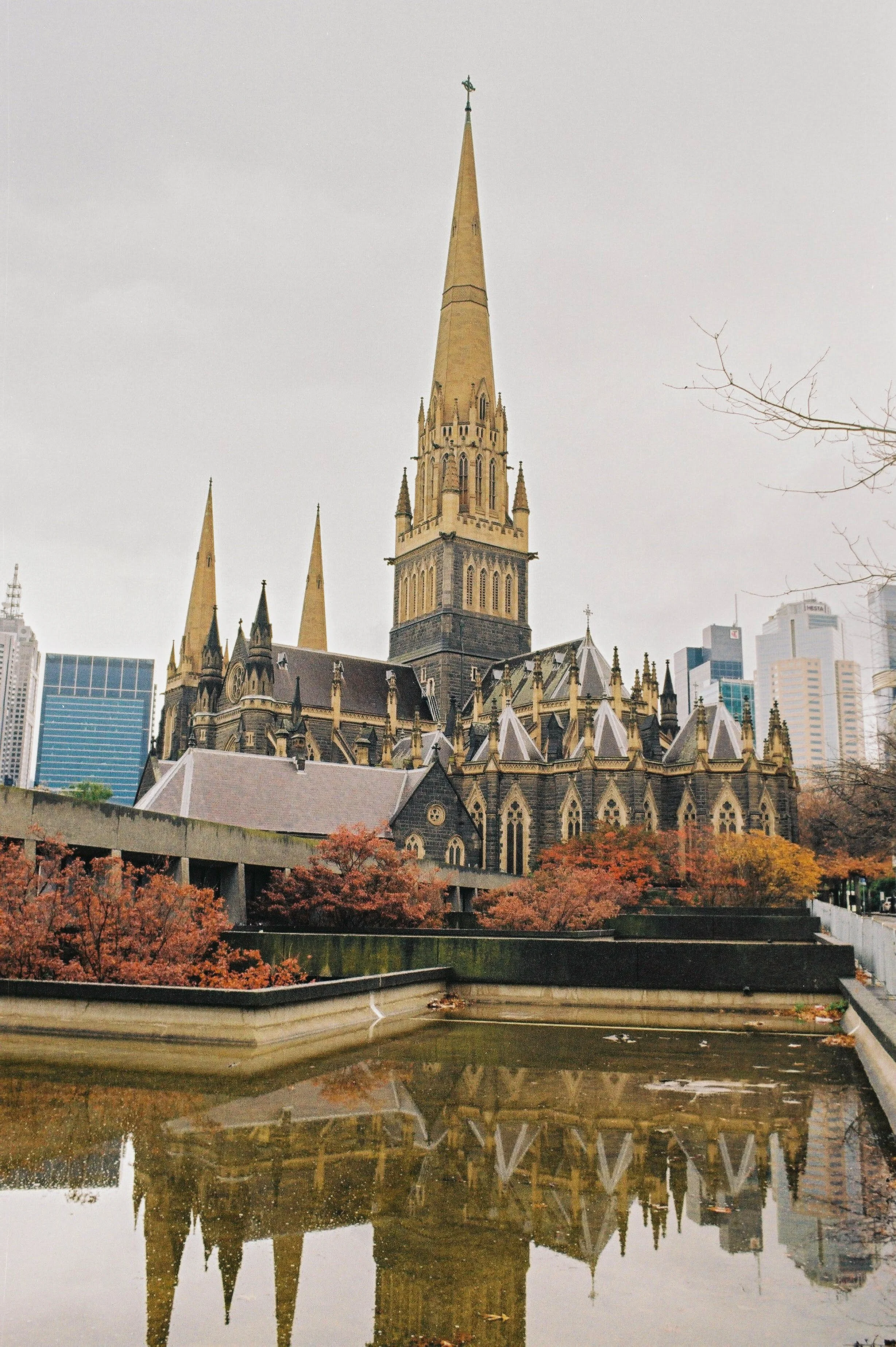 D1250017.jpg
