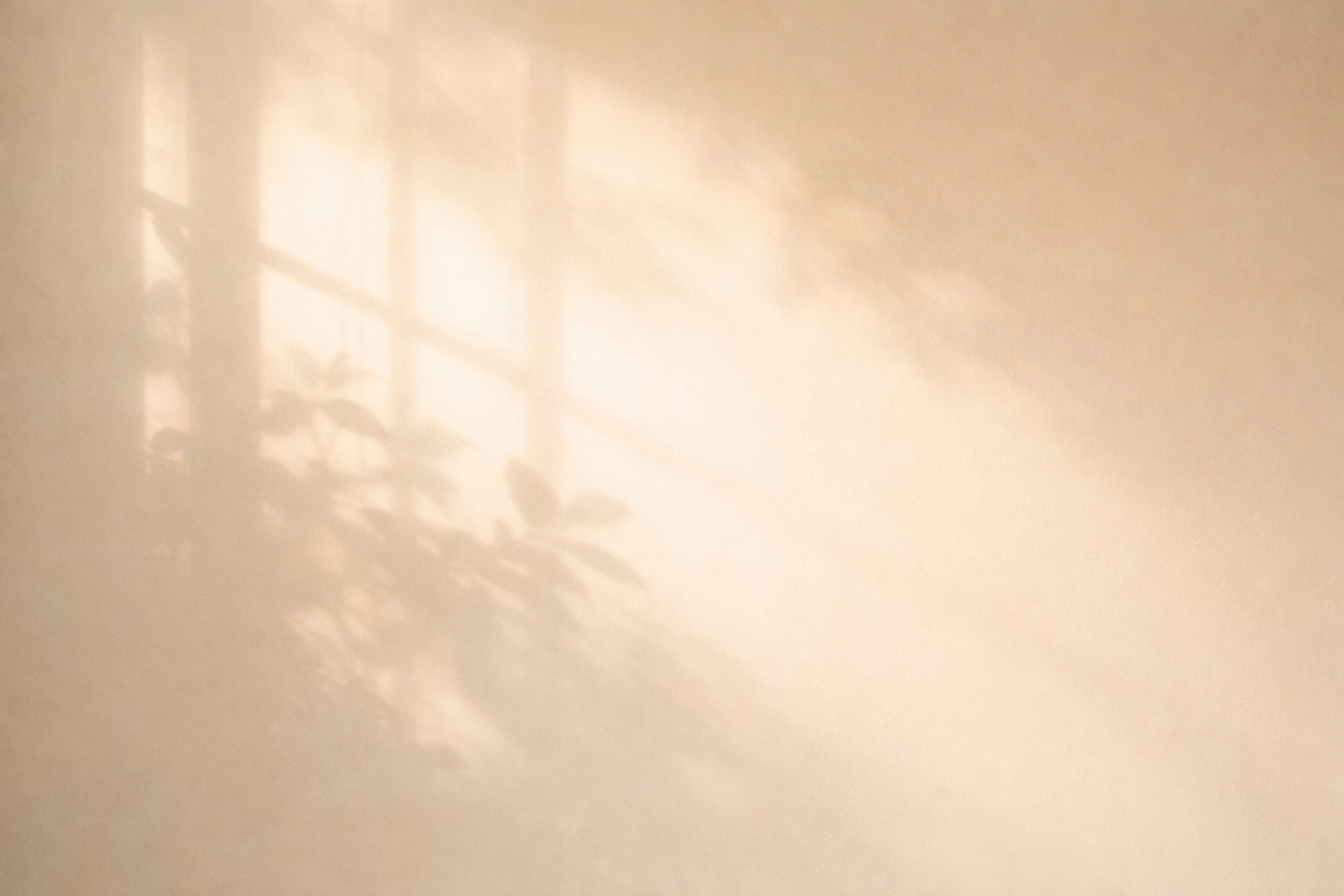 Soft, neutral-toned background with natural light, representing reflection and inner clarity during personal transition