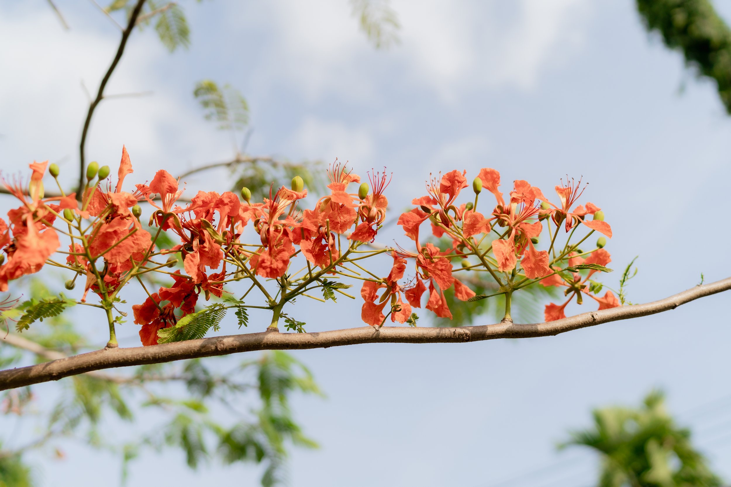 7 Experiences You Should Not Miss on a Long Weekend in Phuket