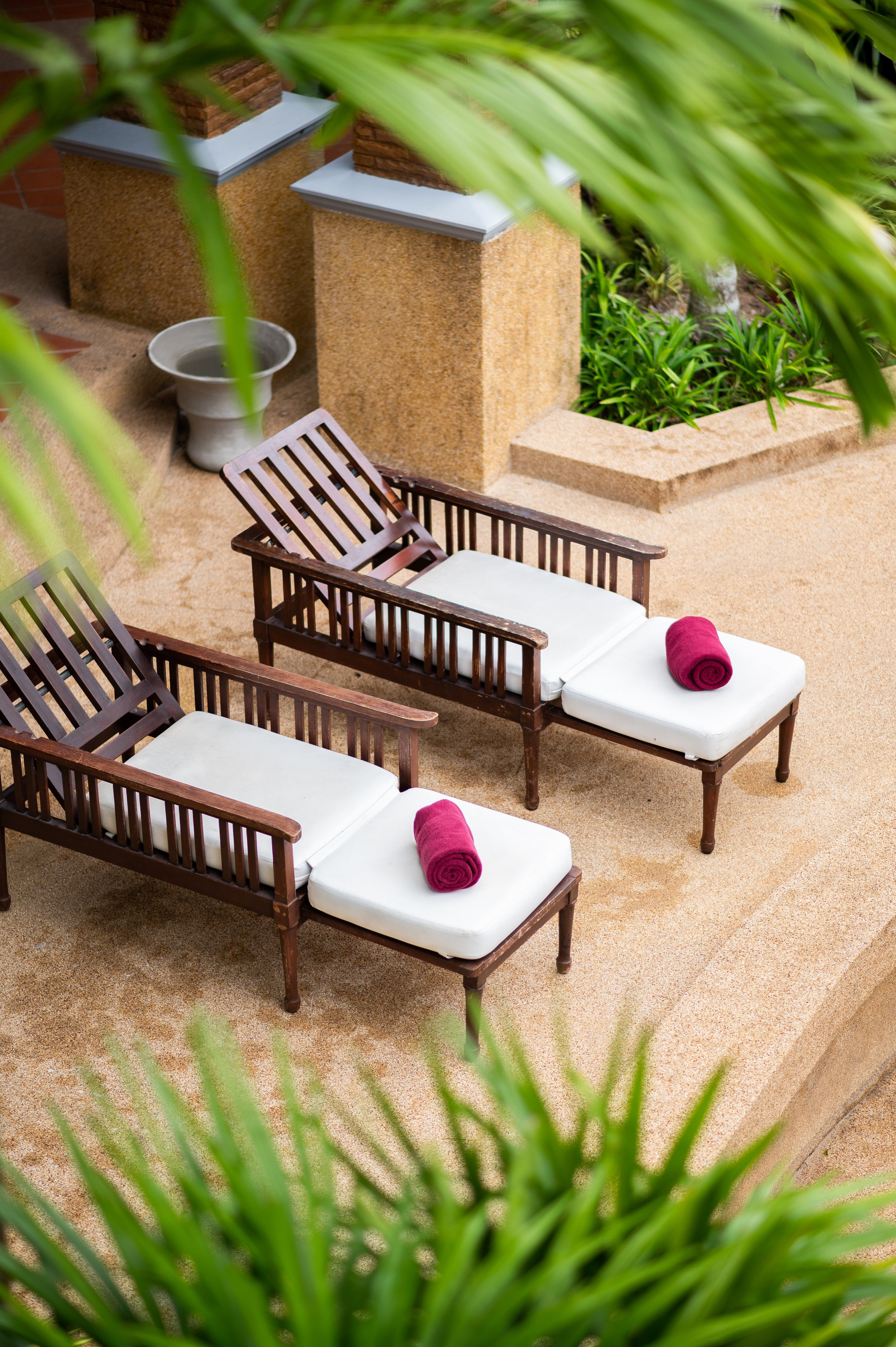 Two wooden lounge chairs with white cushions and rolled burgundy towels in a sunny outdoor area surrounded by green plants and shrubbery.