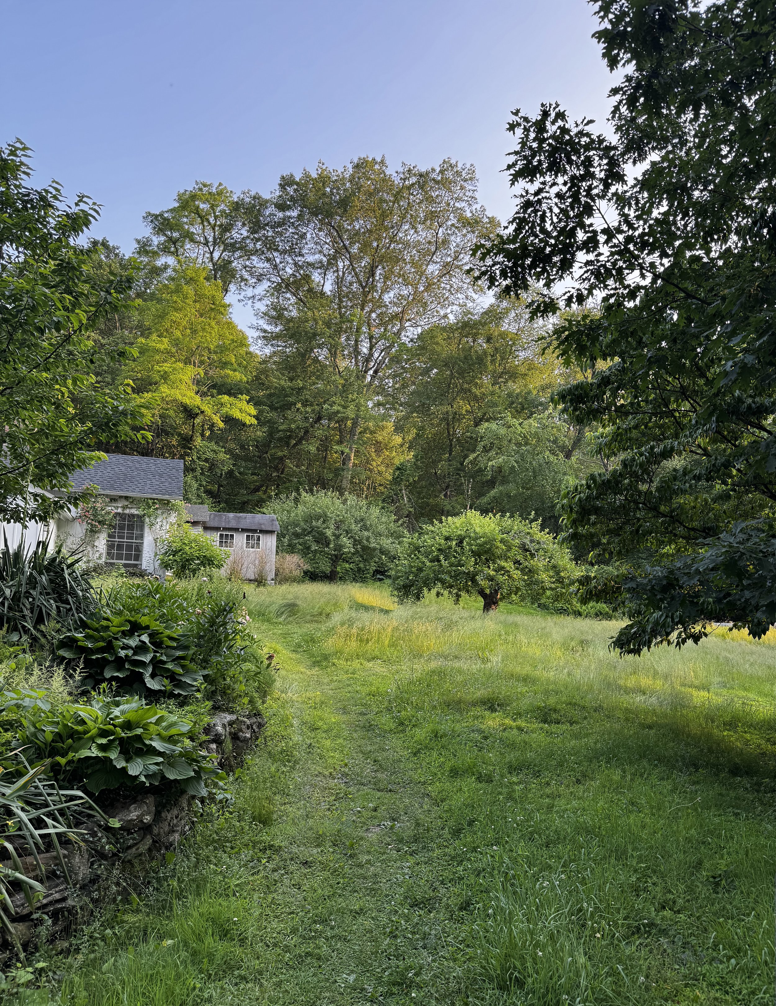 A lush green backyard with a grassy pathway, surrounded by trees, shrubs, and a house with a gray roof on the left side. The sky is clear and bright.