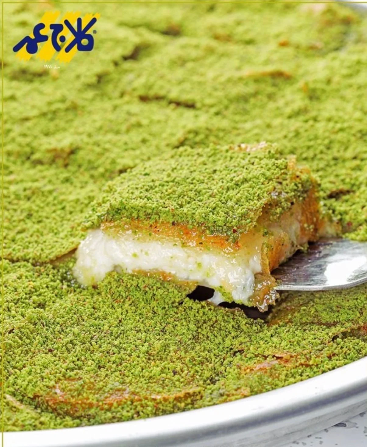 WhatsApp Image 2026-02-05 at 10.59.13 AM.jpeg