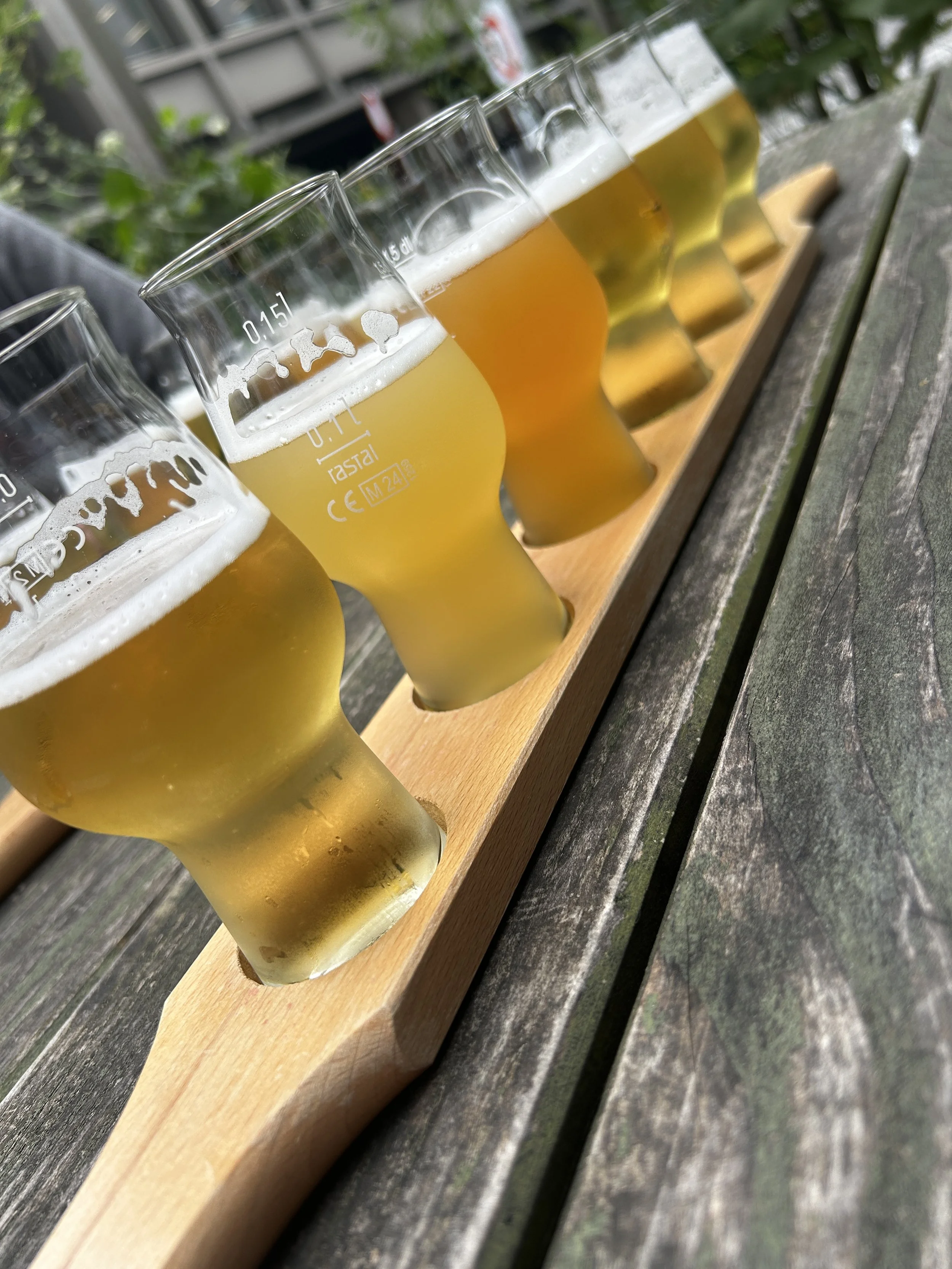 Craft beer tasting in Zurich