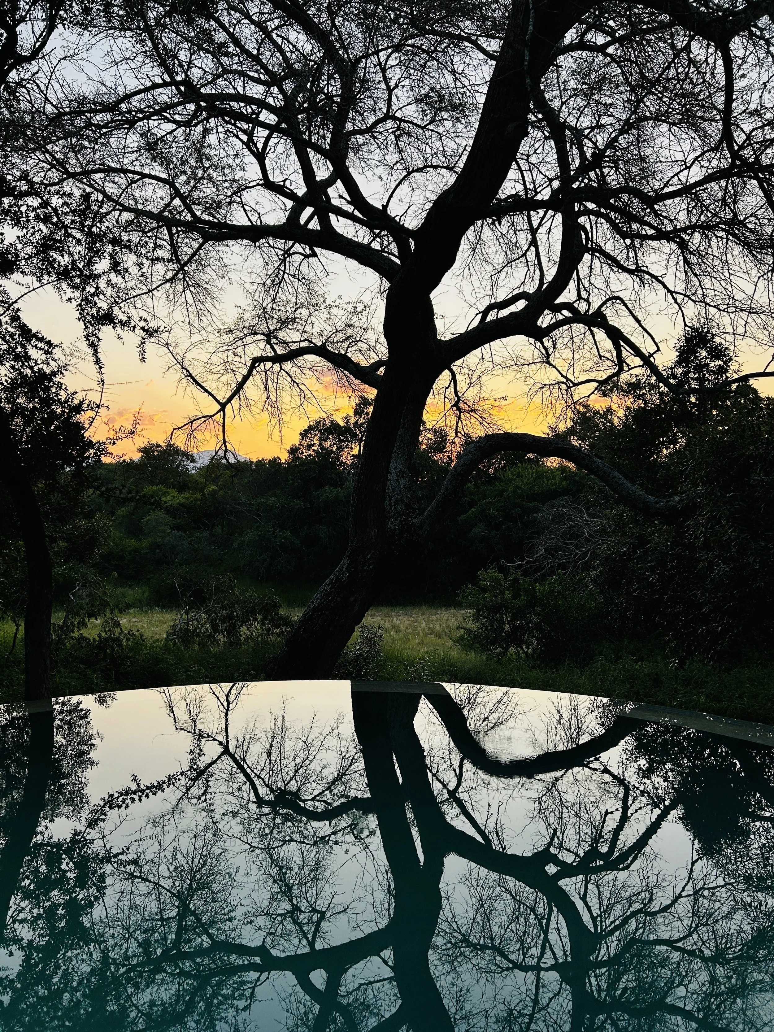 Sunset in the African bush