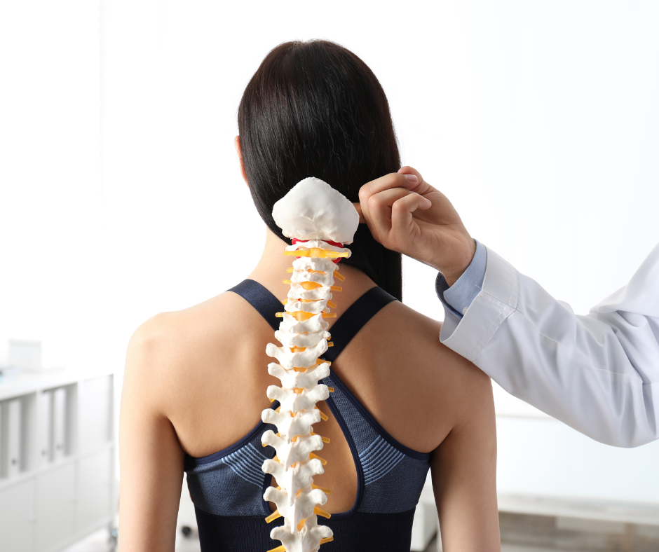 En person visar en ryggradsmodell på sin nacke i ett medicinskt sammanhang.