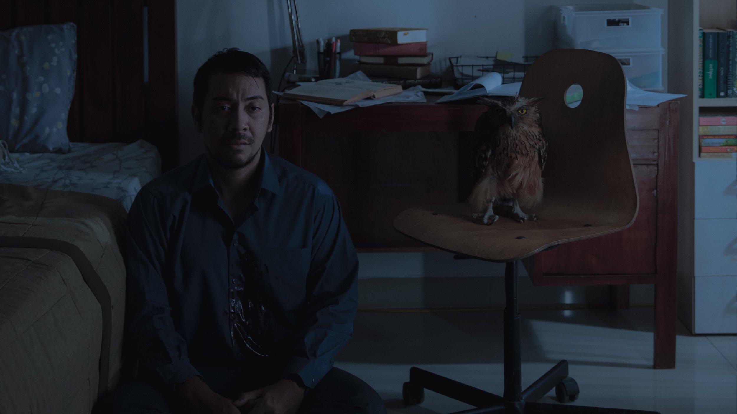 ABH - Still - 10.jpg