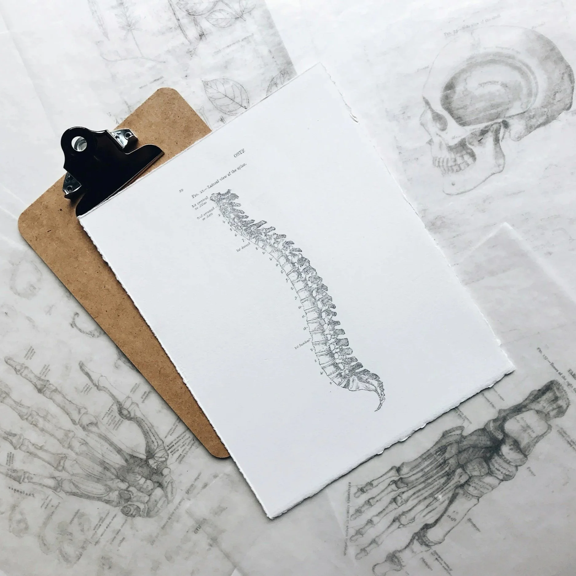 Introduction to Pilates