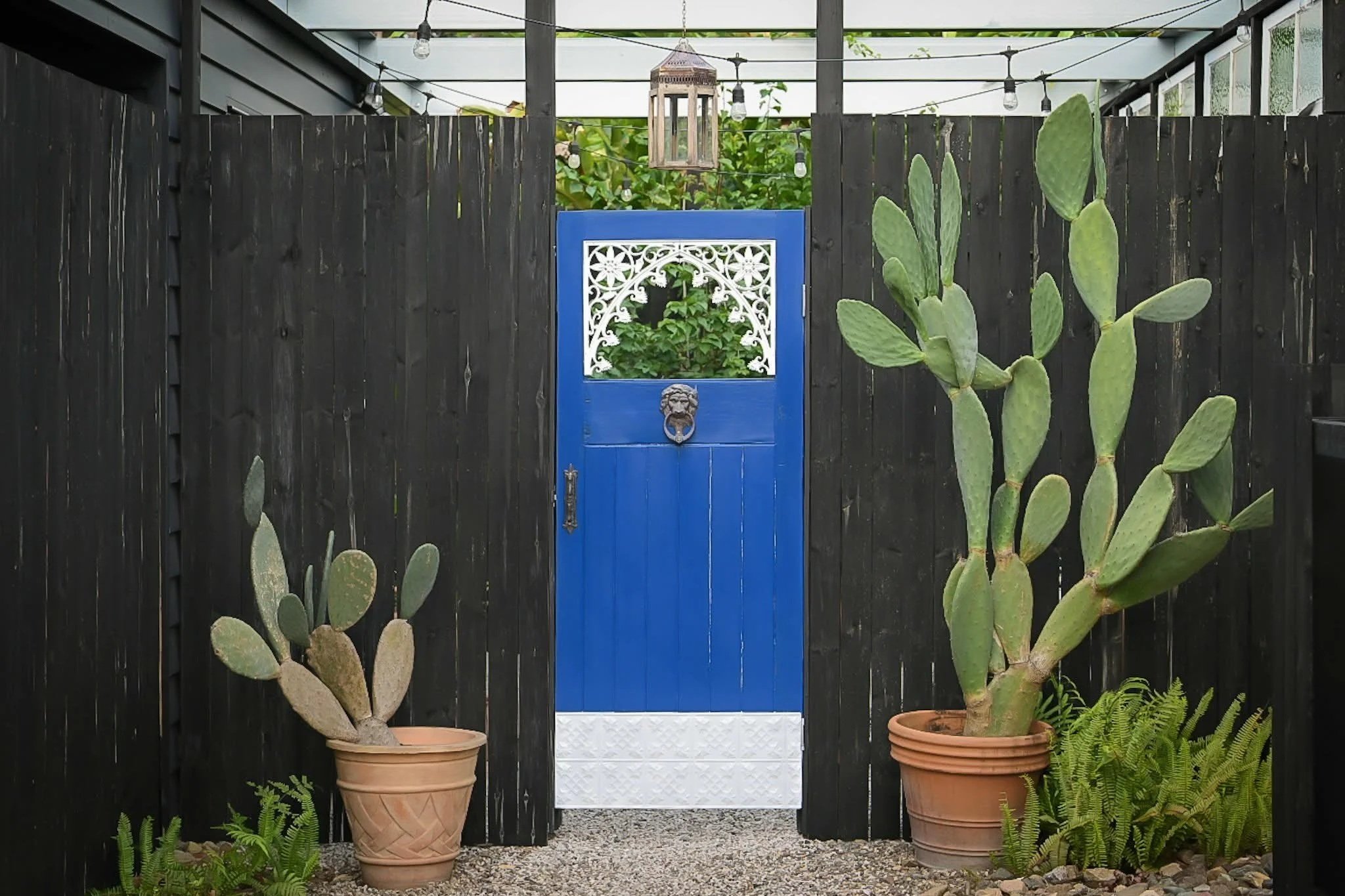 A black wooden fence with a vibrant blue door, decorated with a lion door knocker, flanked by two large potted cactus plants, with a string of outdoor lights and a hanging lantern above.