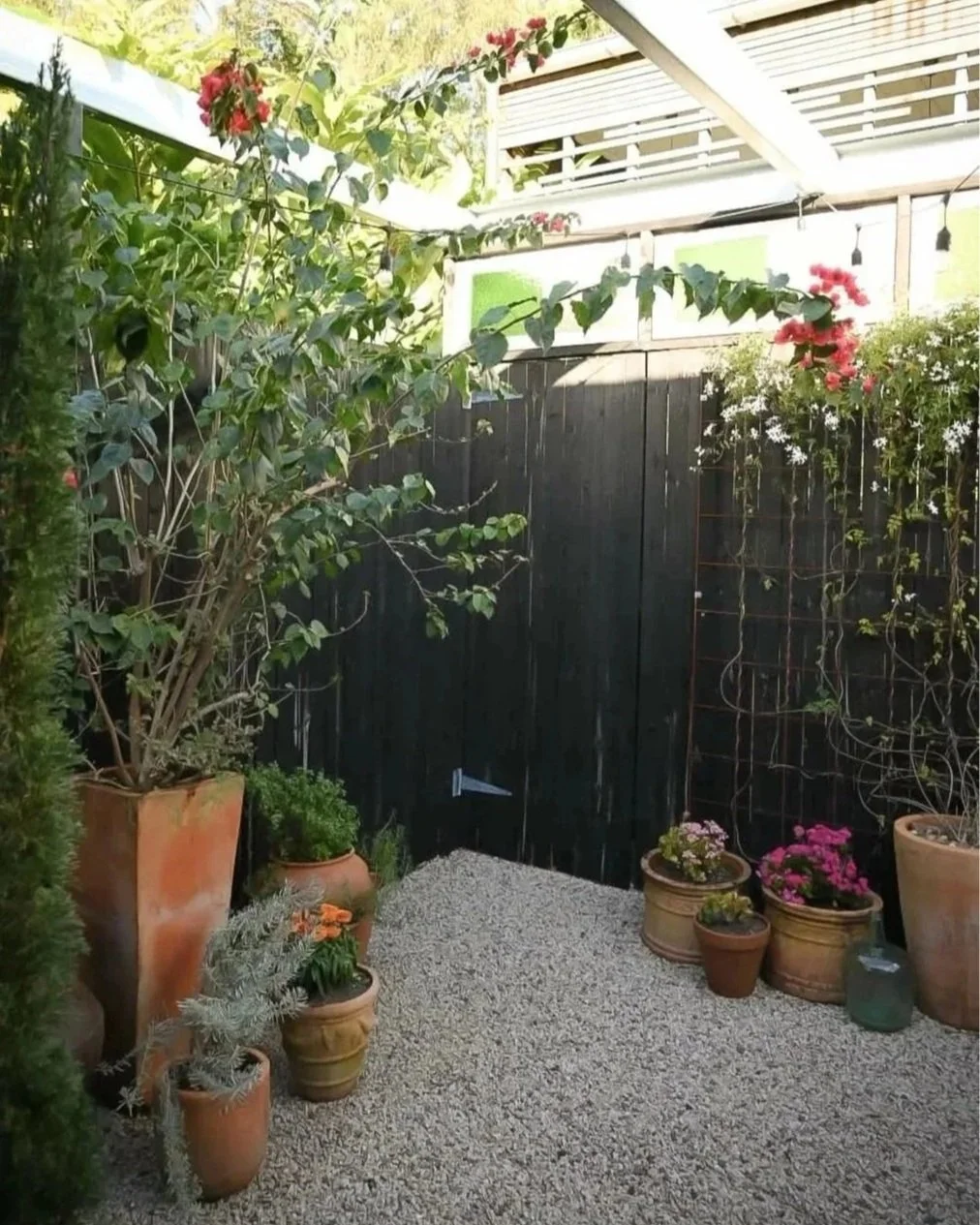 A small garden area with potted plants, including flowers and foliage, enclosed by a black fence and partial white slatted roof. Gravel covers the ground, and sunlight filters through.