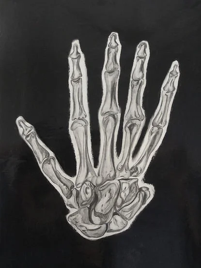 Anatomical Hand Study 1998 - charcoal & graphite on paper