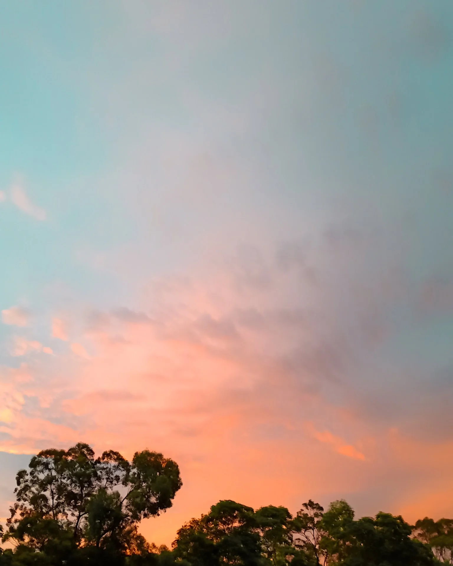 Music in the Sky by Jacqui Stewart WEB.jpg