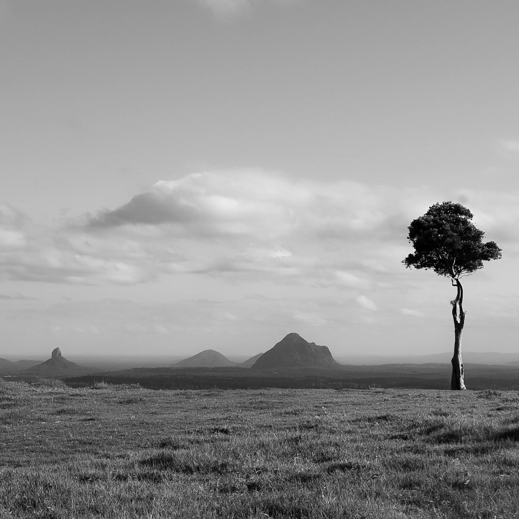 Gently standing still...my forever memories, I see you today