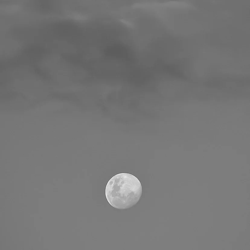 I long for the night...I'll wrap my arms around you, curiosity