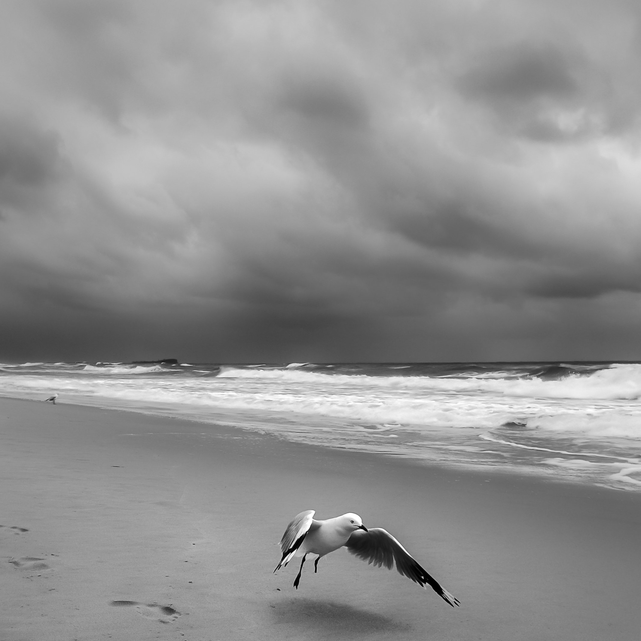 Footprints of stories, turmoil and contentment, if I could fly