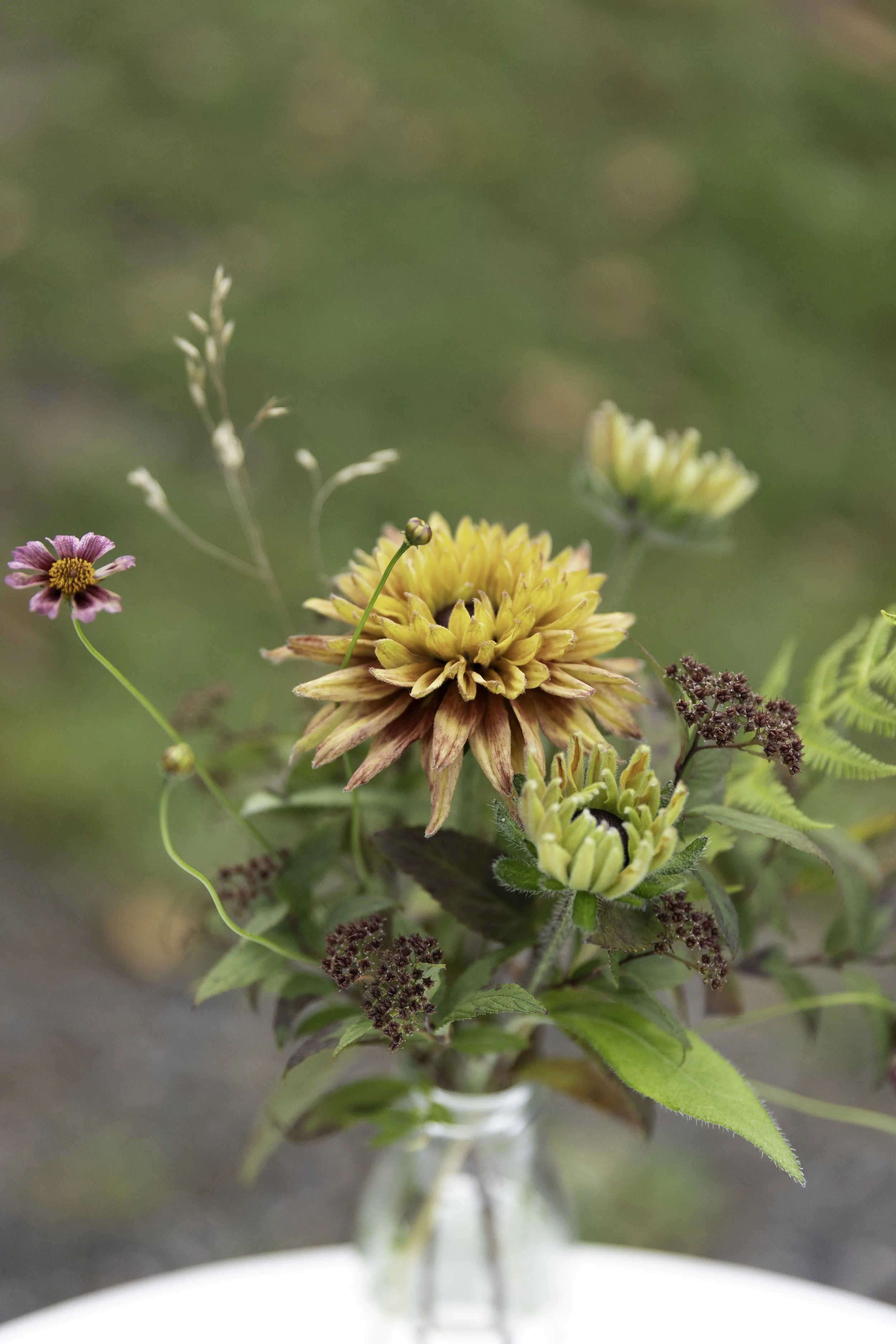 Blomster Bryllup Bryllupsblomster Rudbeckia Sahara 