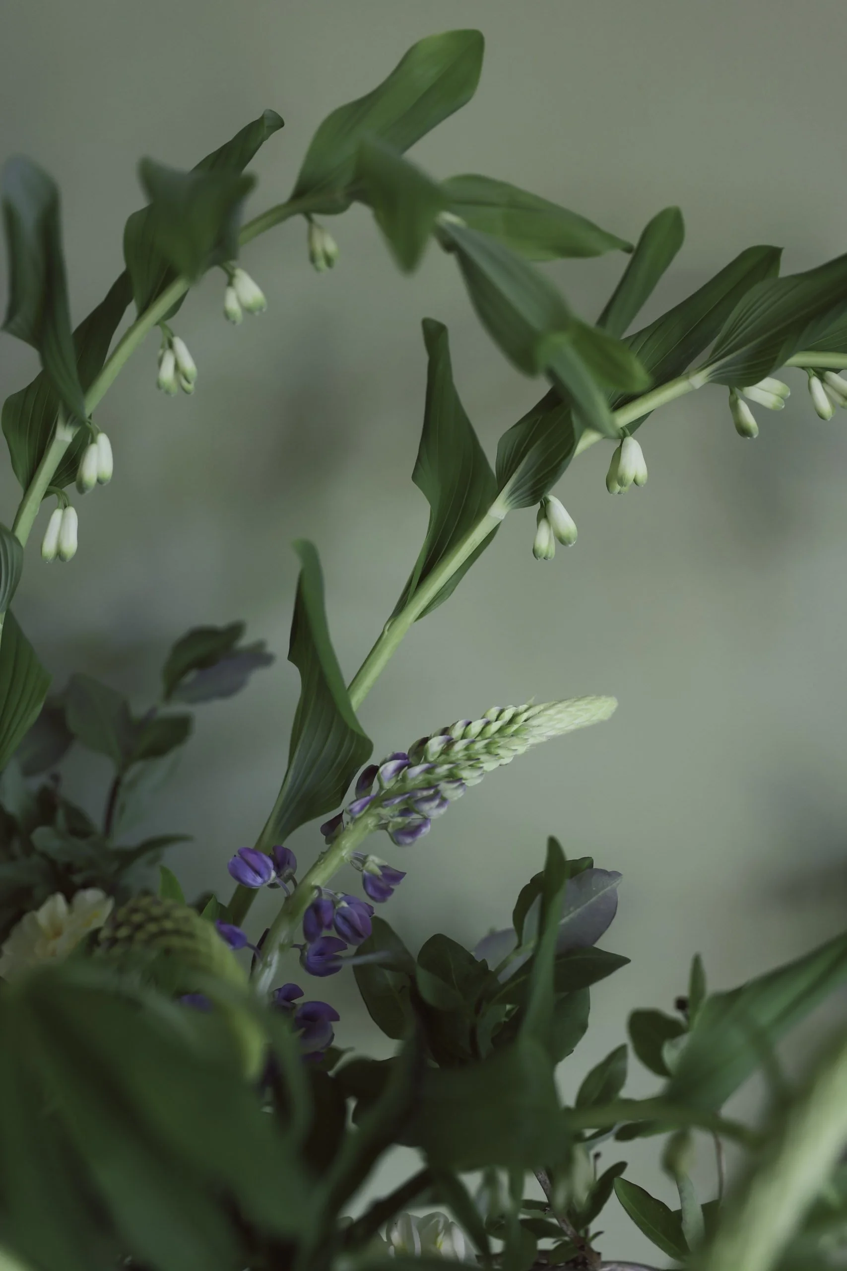 Blomster Bryllup Bryllupsblomster Narsiss Storkonvall Tulipan Lupin