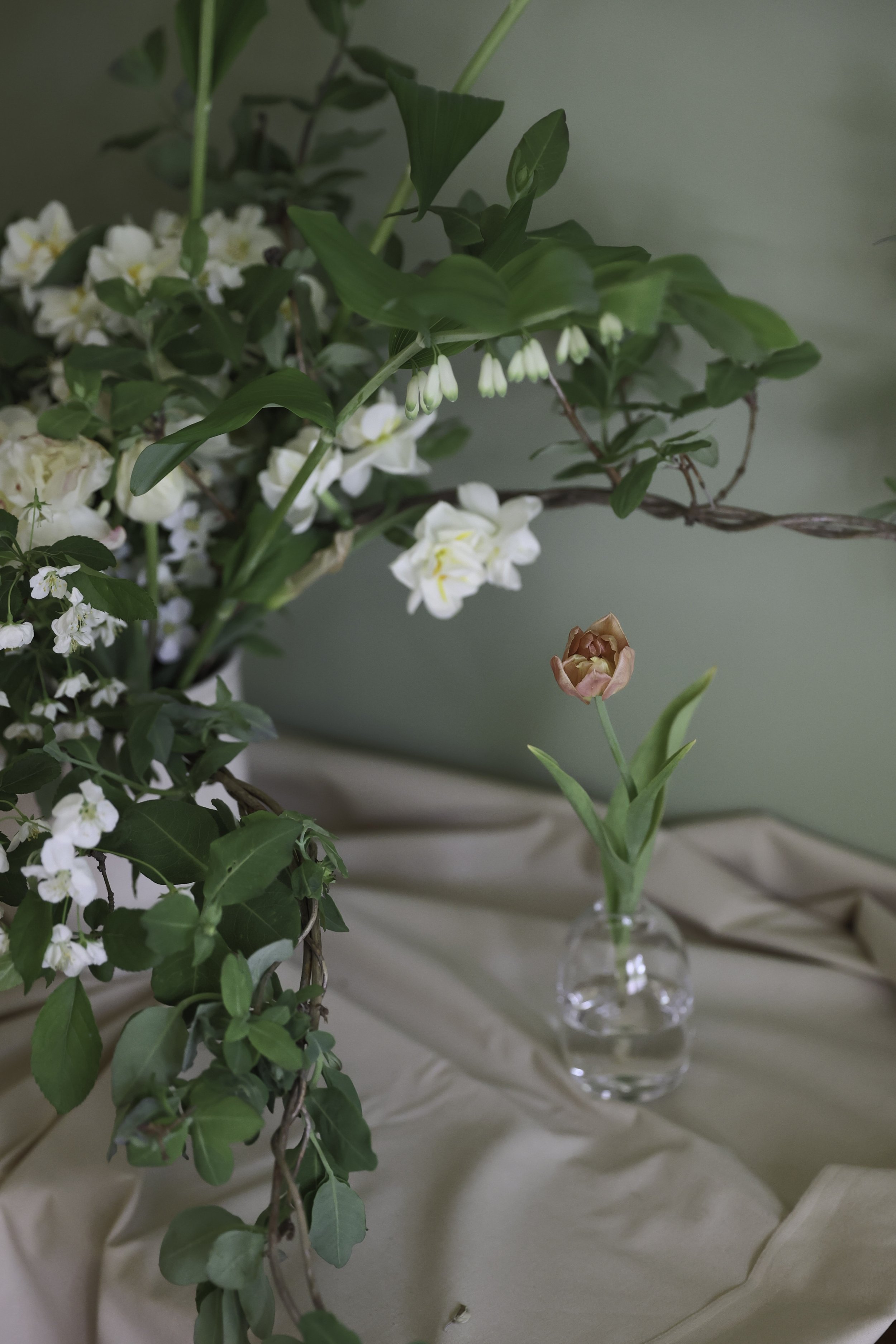 Blomster Bryllup Bryllupsblomster Narsiss Storkonvall Tulipan