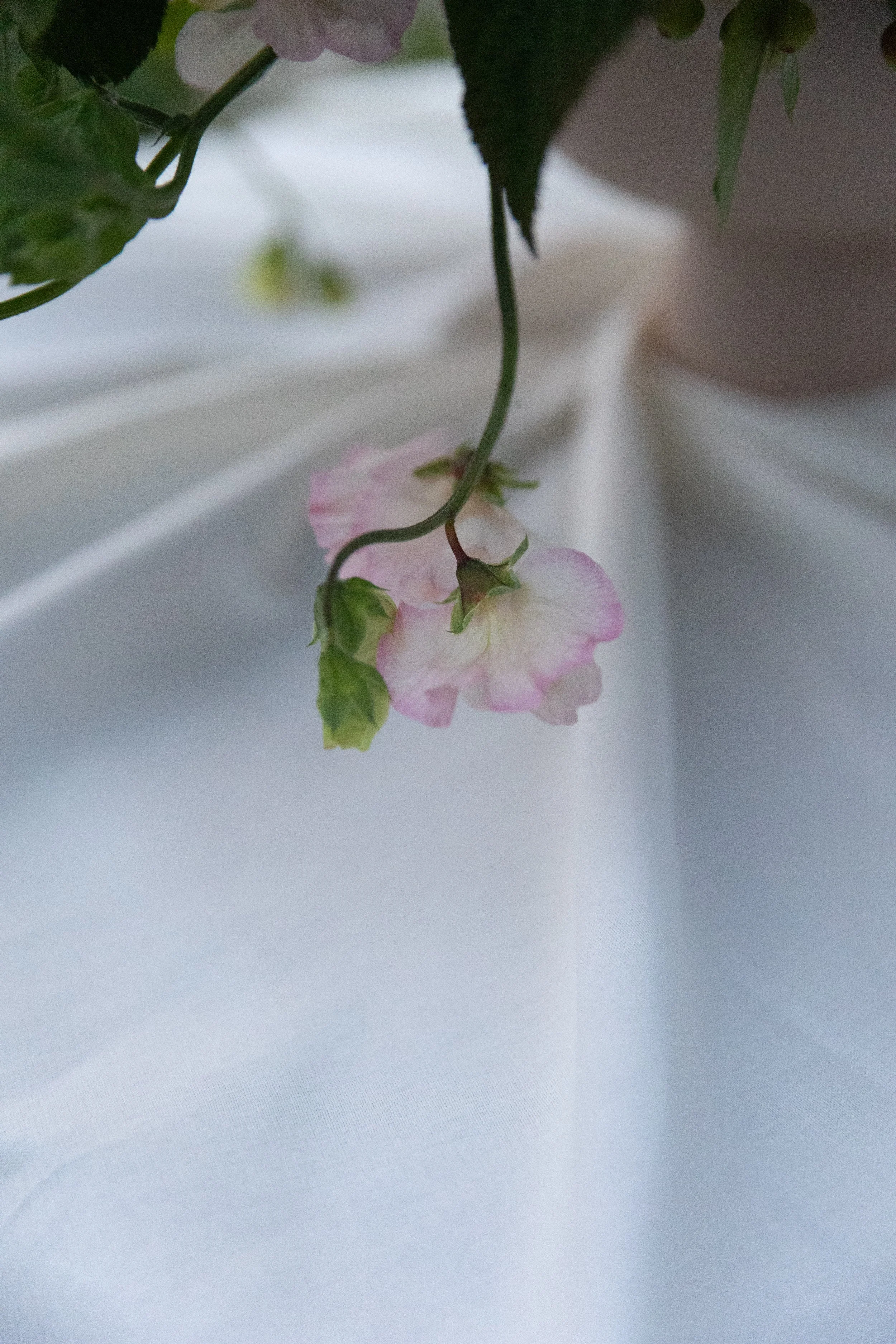 Blomster Bryllup Bryllupsblomster Brudebukett blomsteroppsats Erteblomst