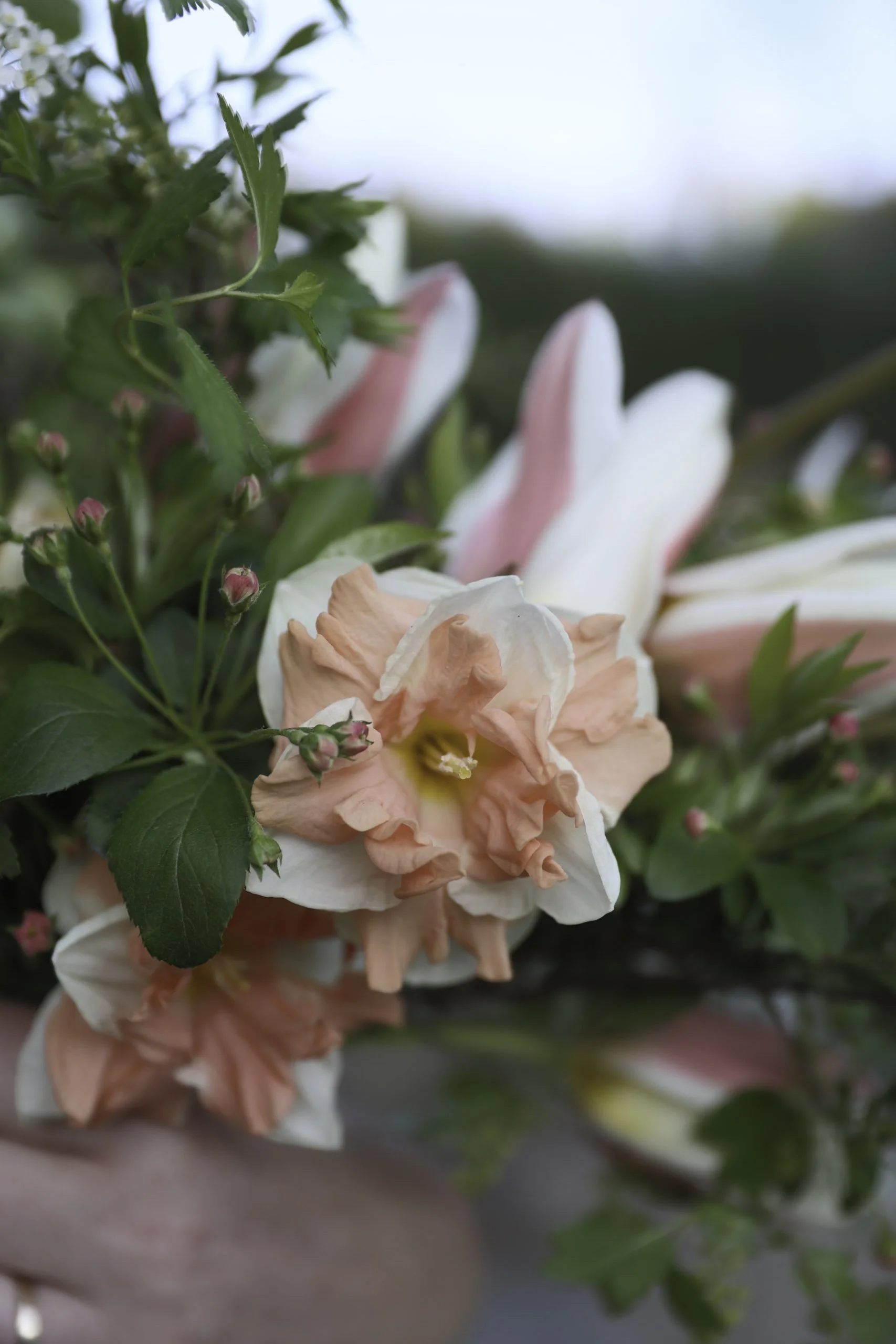 Blomster Bryllup Brudebukett Bryllupsblomster Tulipaner