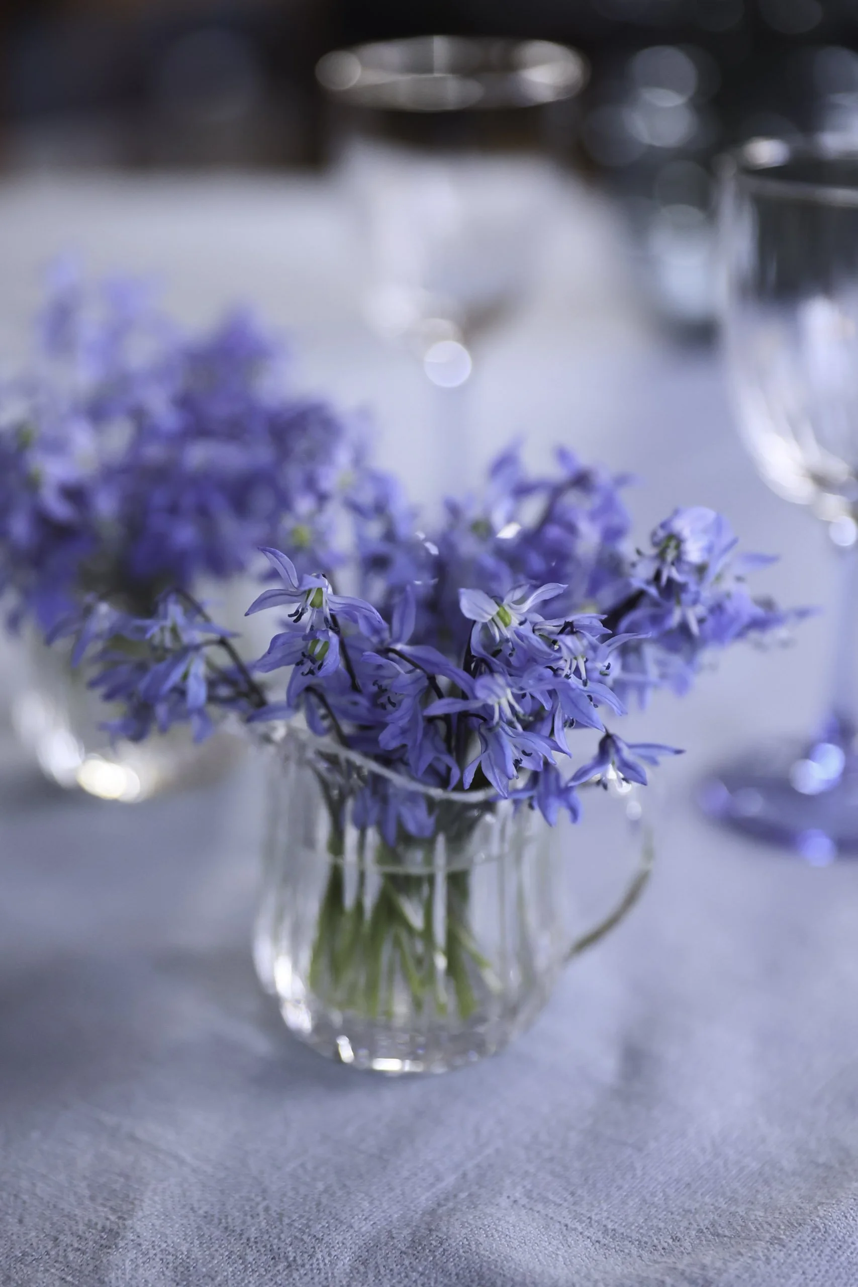 Scillia Snittblomster  Bryllupsblomster