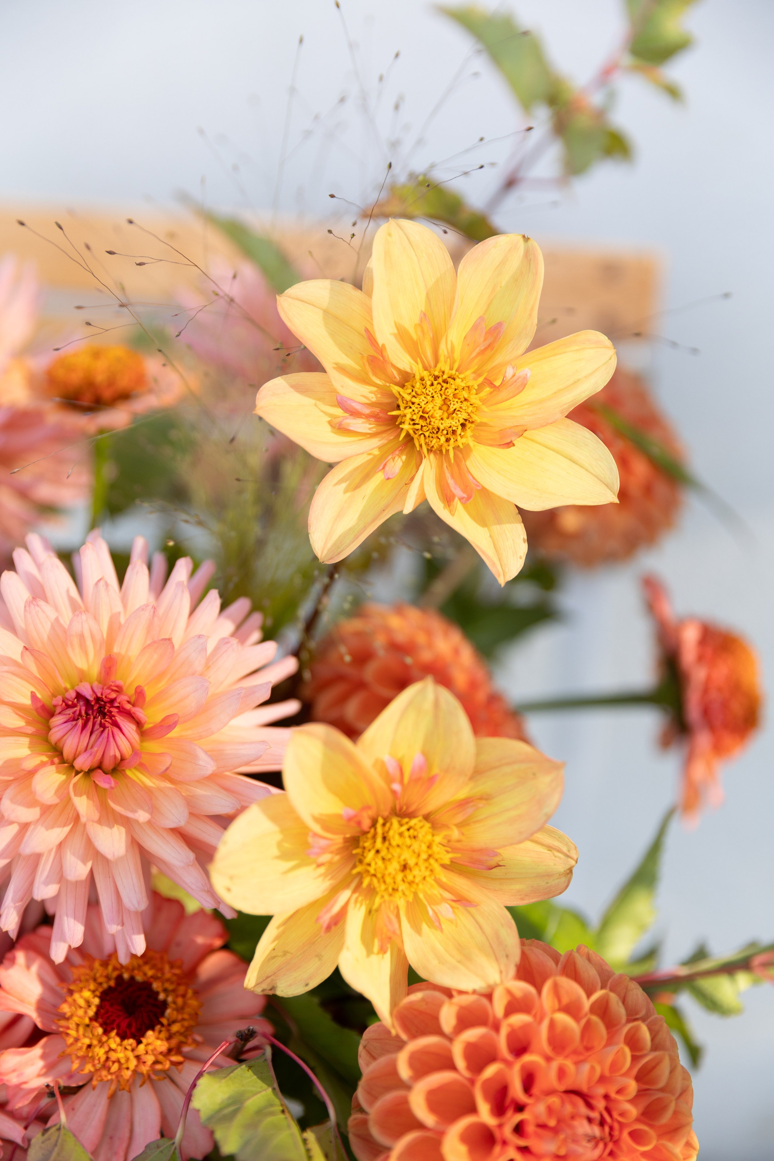 Blomster Bryllup Bryllupsblomster Brudebukett Blomsteroppsats Snittblomster Georgine