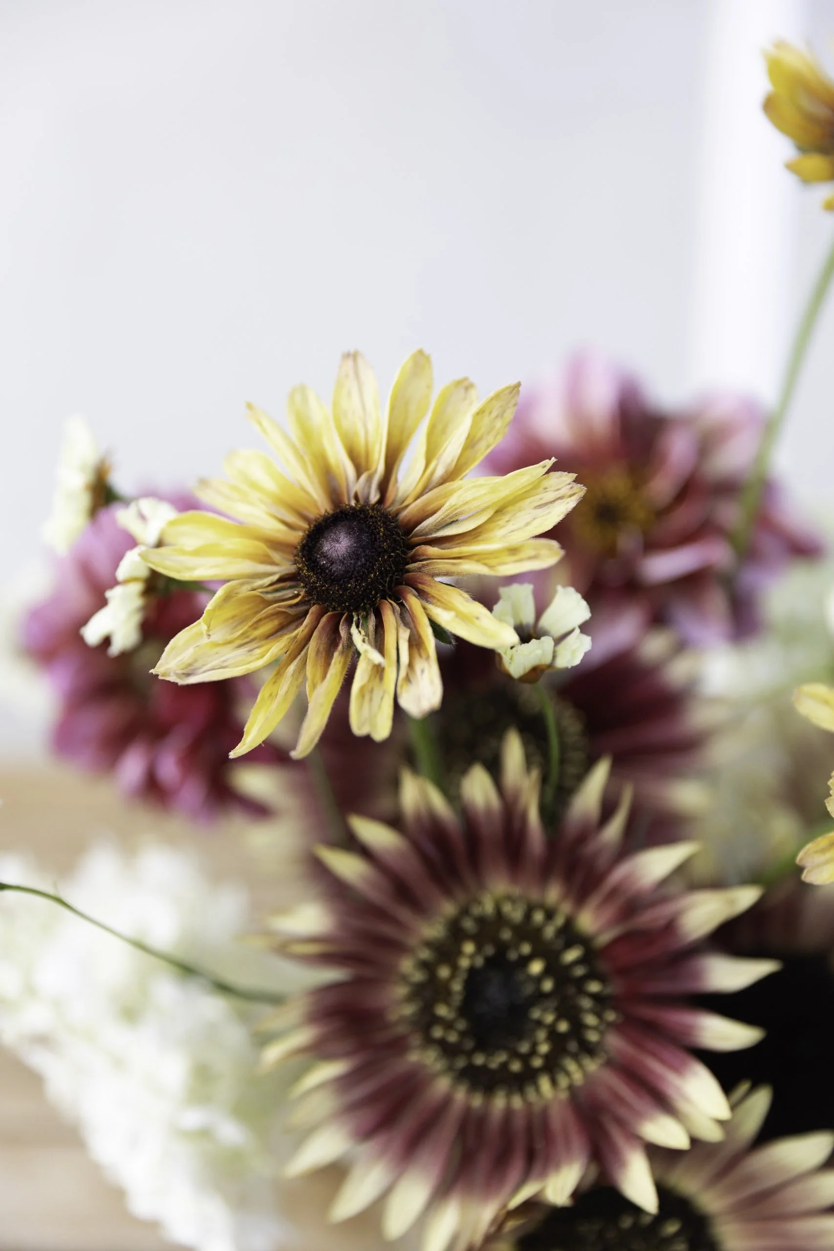 Blomster Bryllup Bryllupsblomster Rudbeckia Sahara Solsikke