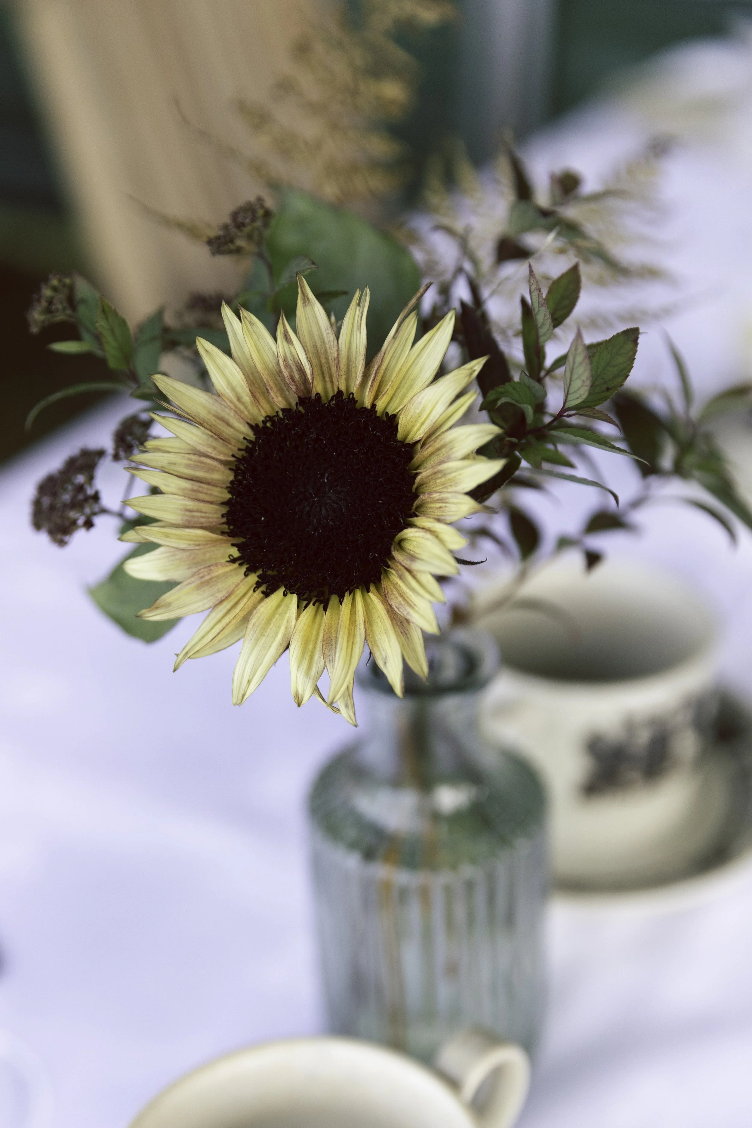 Blomster Bryllup Bryllupsblomster Solsikke