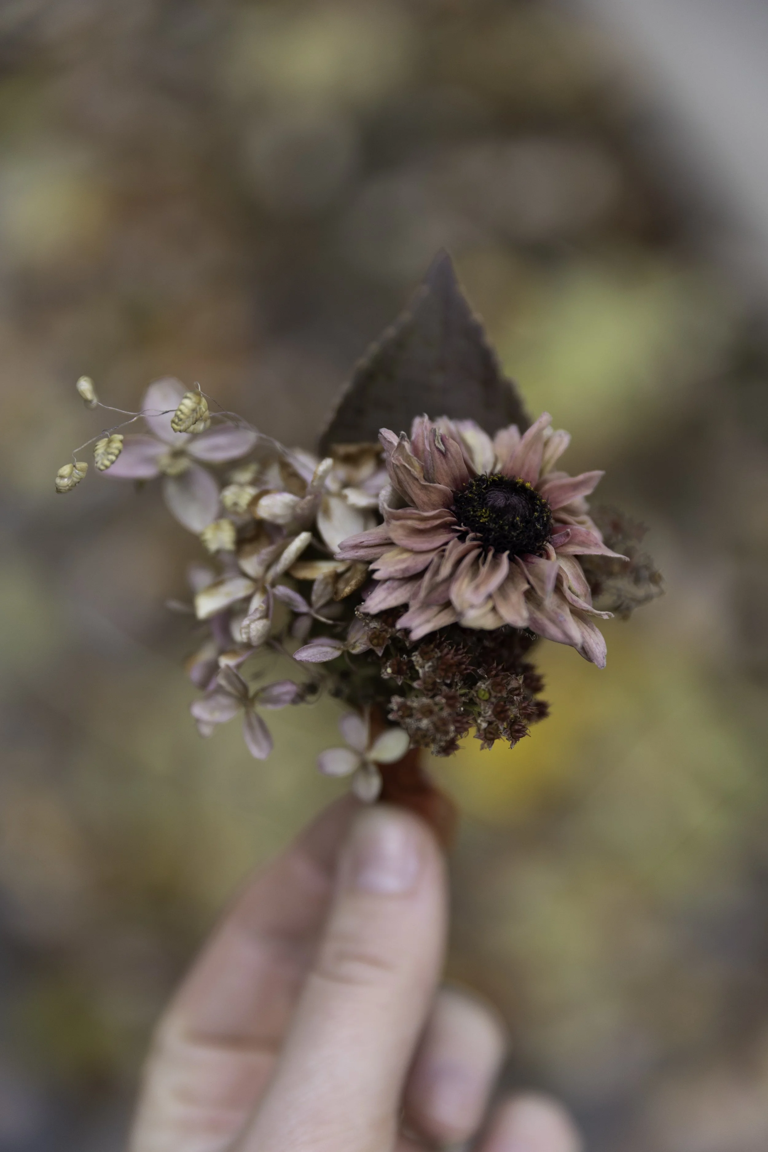 Bryllup Blomster bryllupsblomster Knapphullsblomst Bouttoniere Rudbeckia Sahara