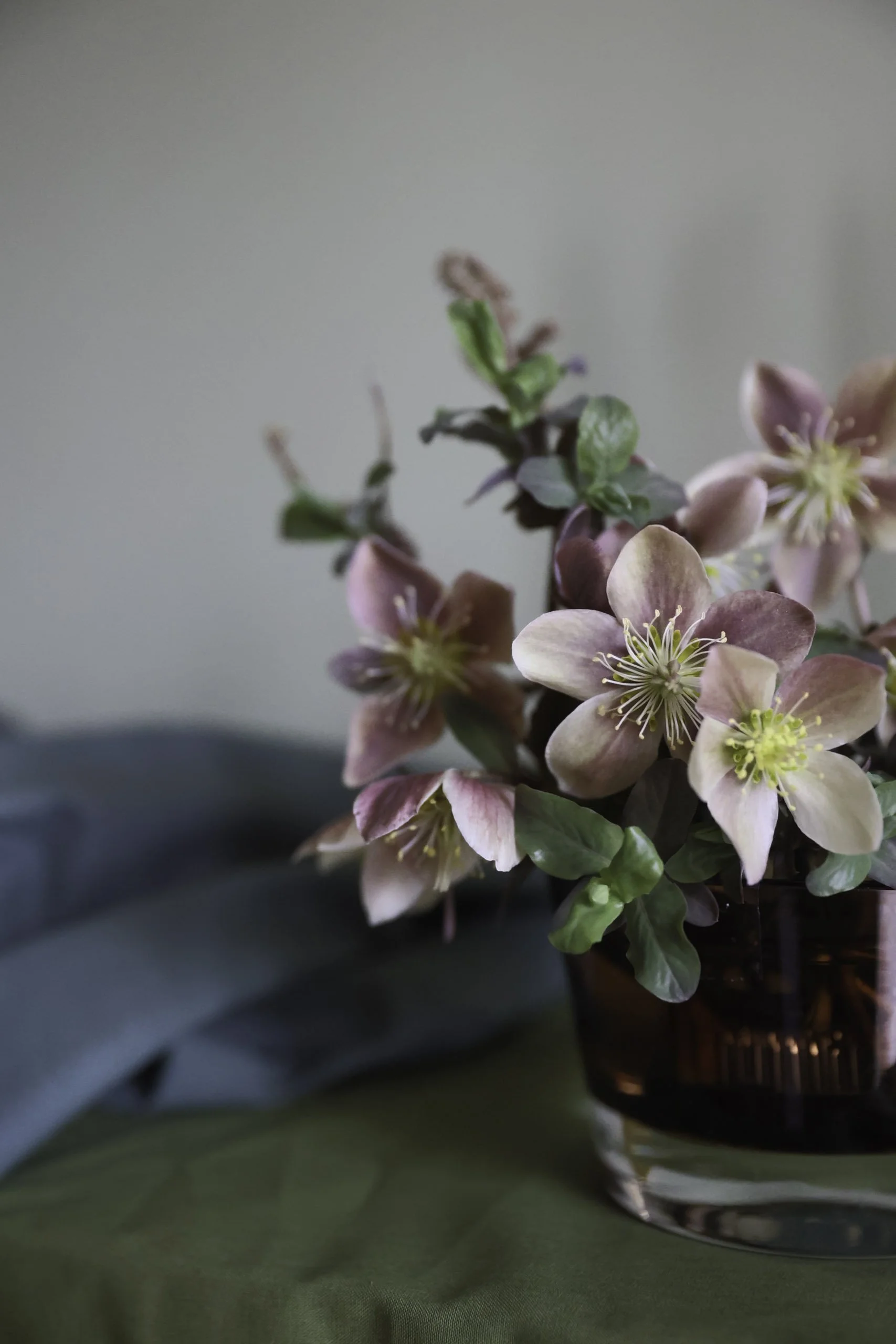 Blomster Bryllup Helleborus
