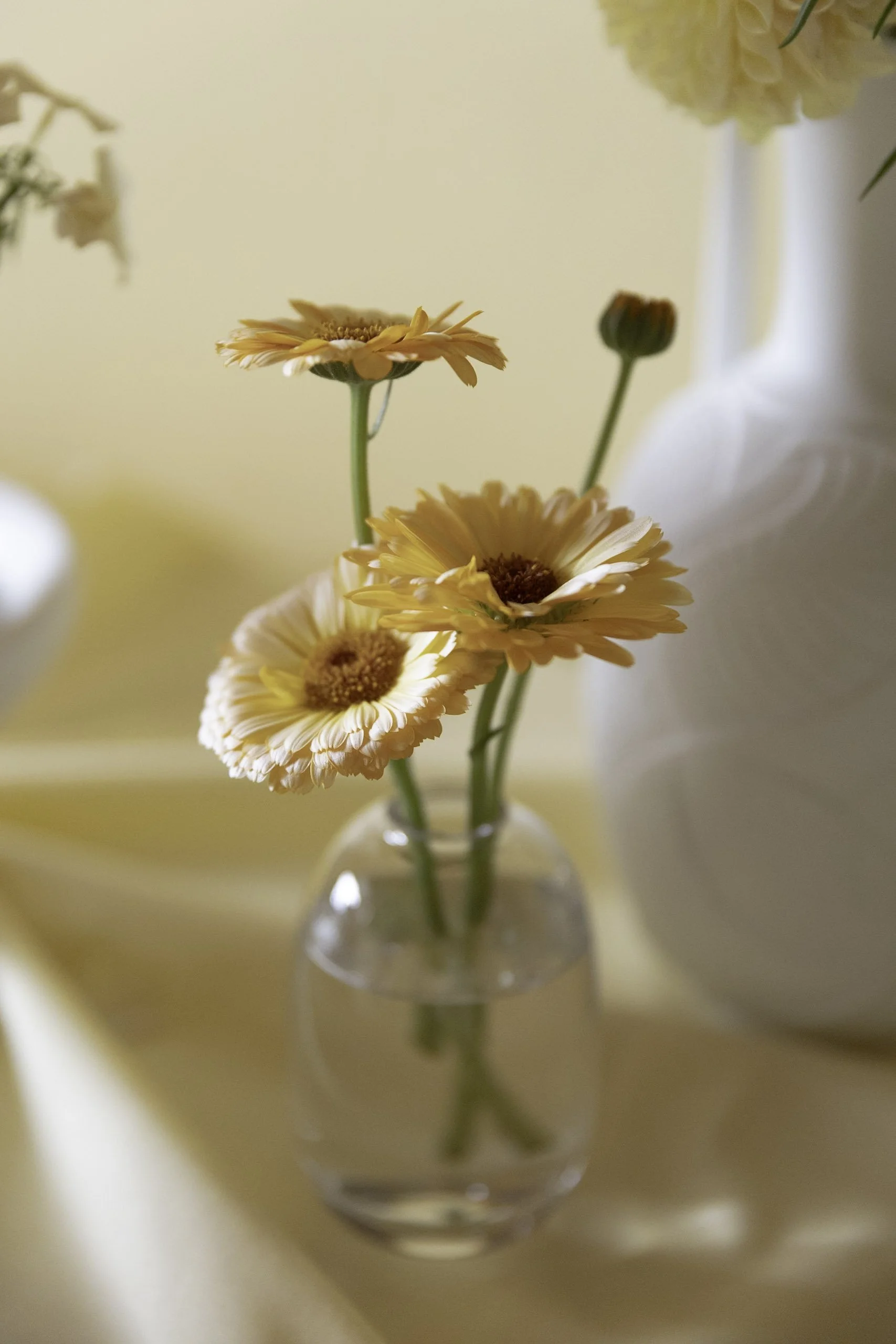 Blomster Bryllup Bryllupsblomster Ringblomst