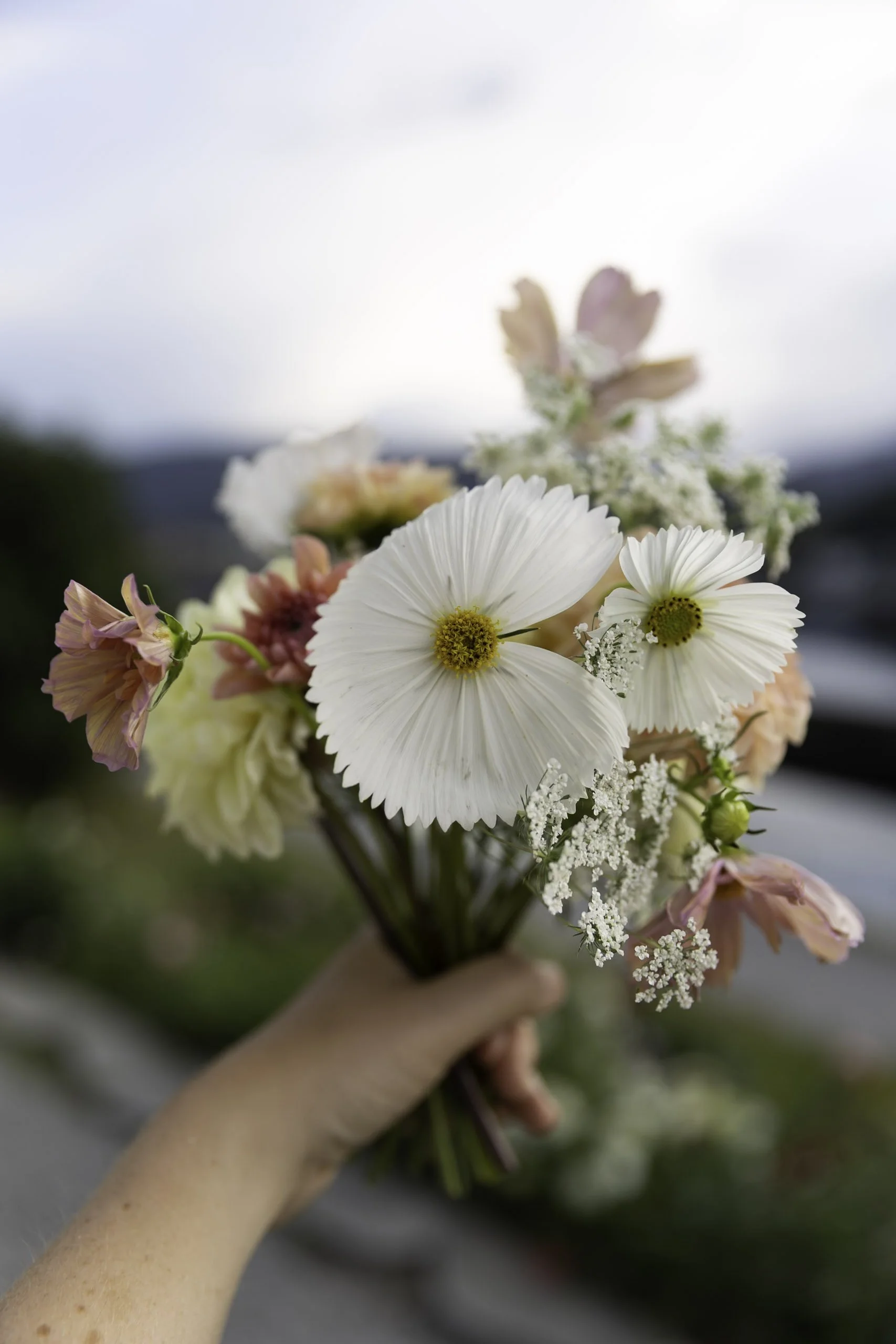 Blomster Bryllup Bryllupsblomster Brudebukett Cosmos Cupcake