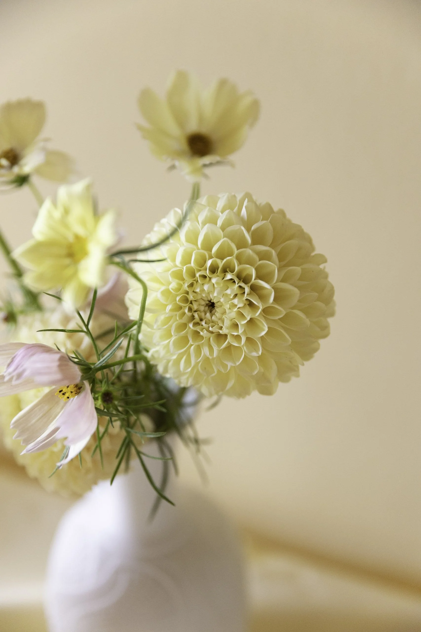 Blomster Bryllup Bryllupsblomster Georgine Cosmos Xhantos