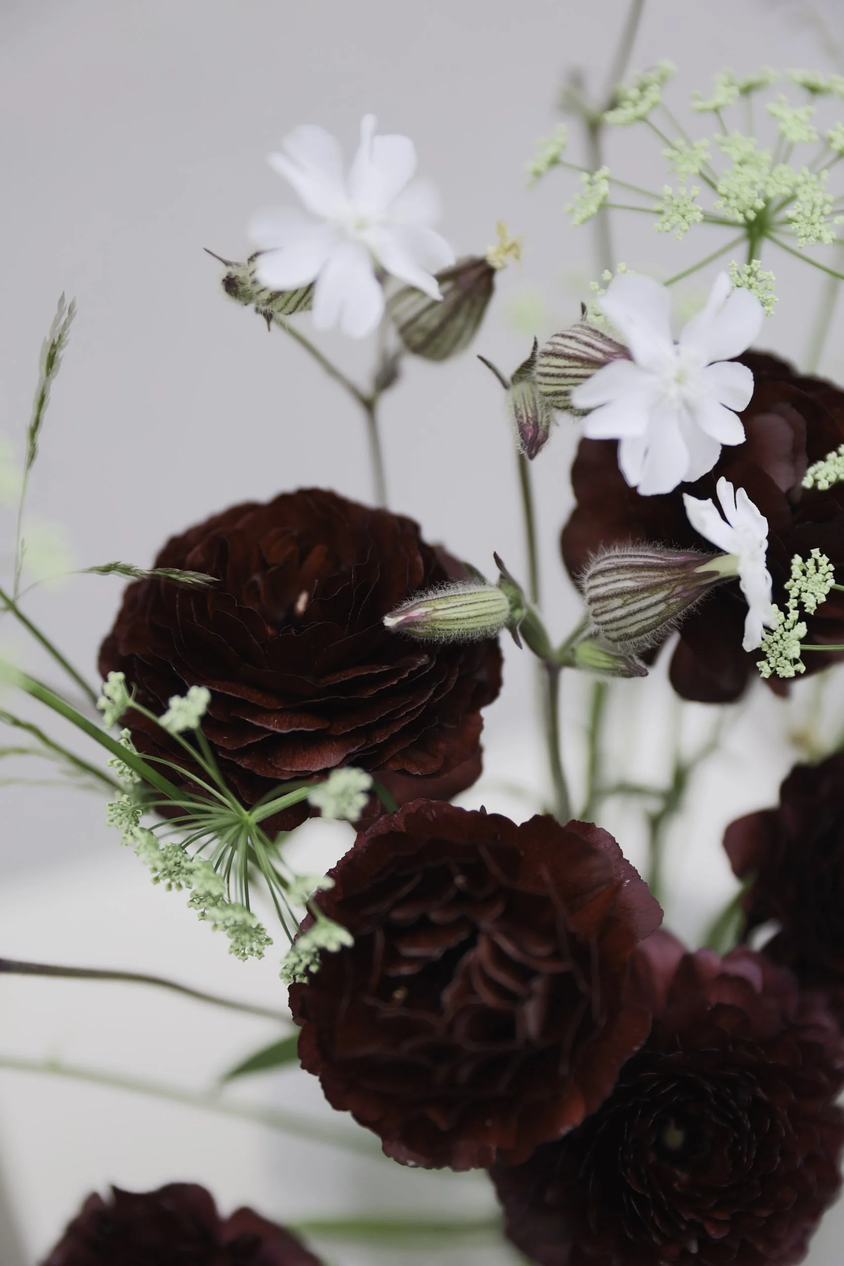 Blomster Bryllup Bryllupsblomster Ranunkel