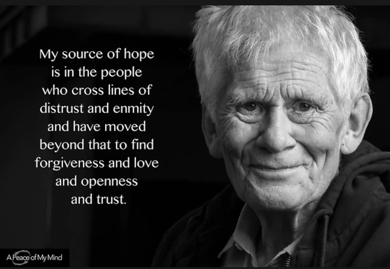 Trustee’s annual report 2024-25