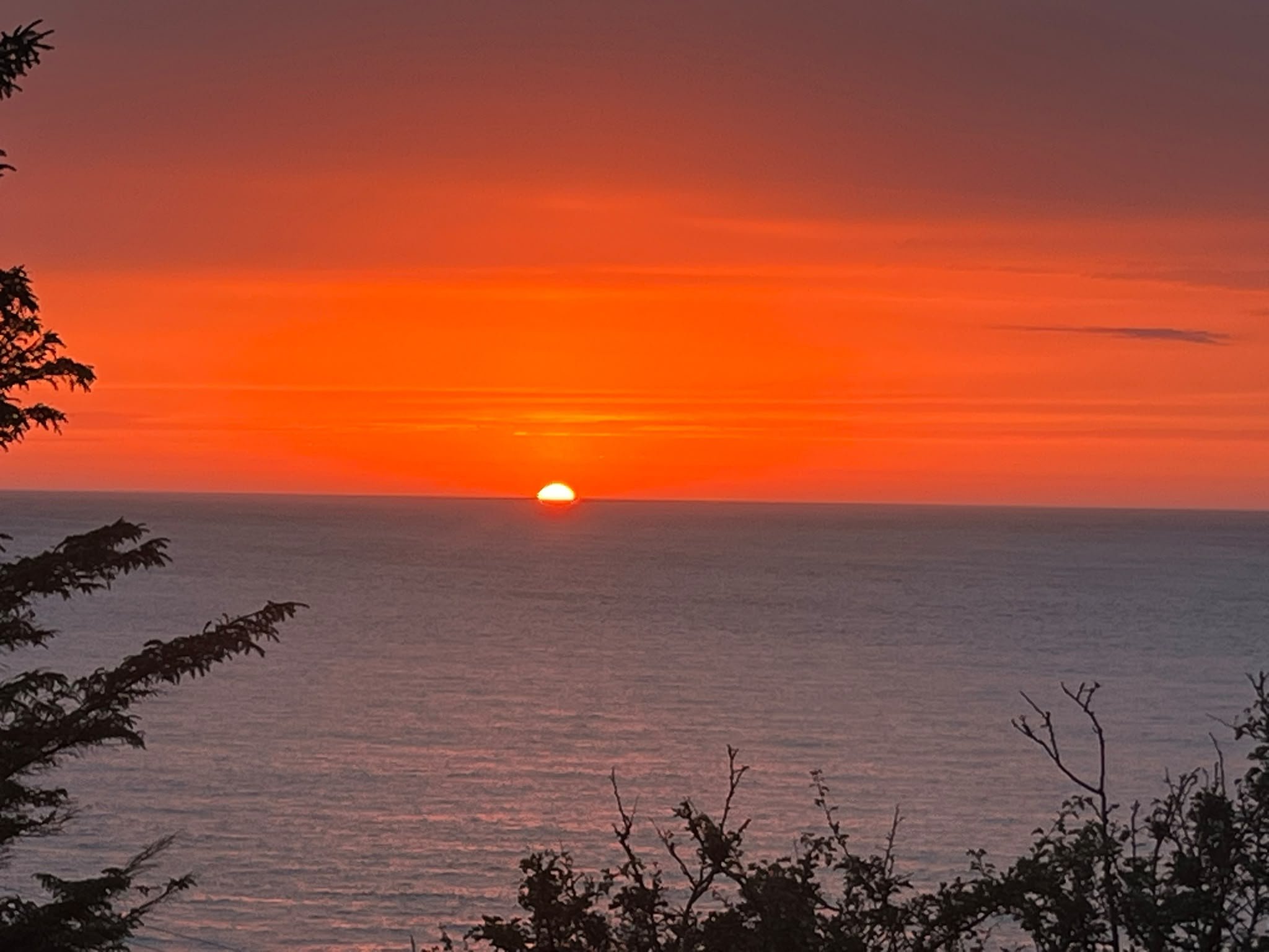 Sun setting over the ocean with silhouettes of tree branches in the foreground, displaying vibrant orange and purple hues in the sky.