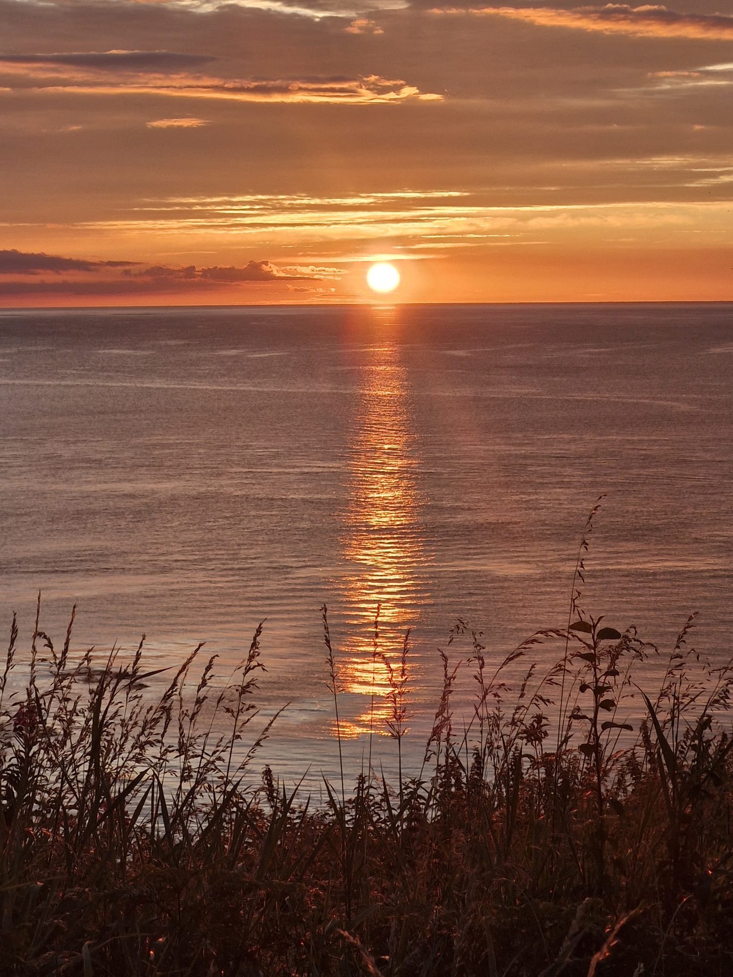 Sunset over a calm body of water with orange and pink sky, silhouette of grasses in the foreground.