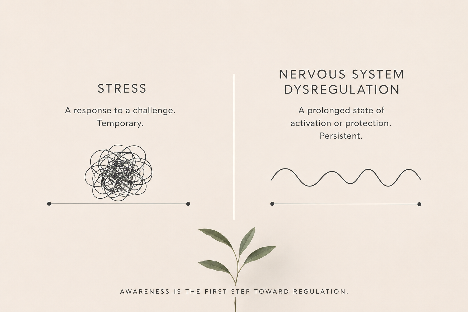 Stress vs. Nervous System Dysregulation: What's the Difference?