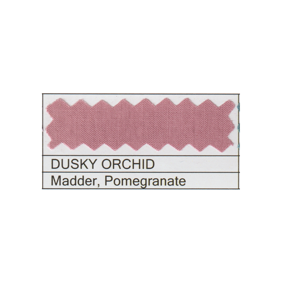 DUSKY ORCHID.png