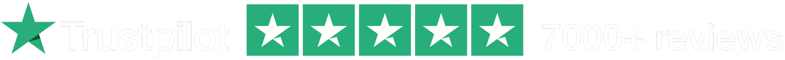 5 stars