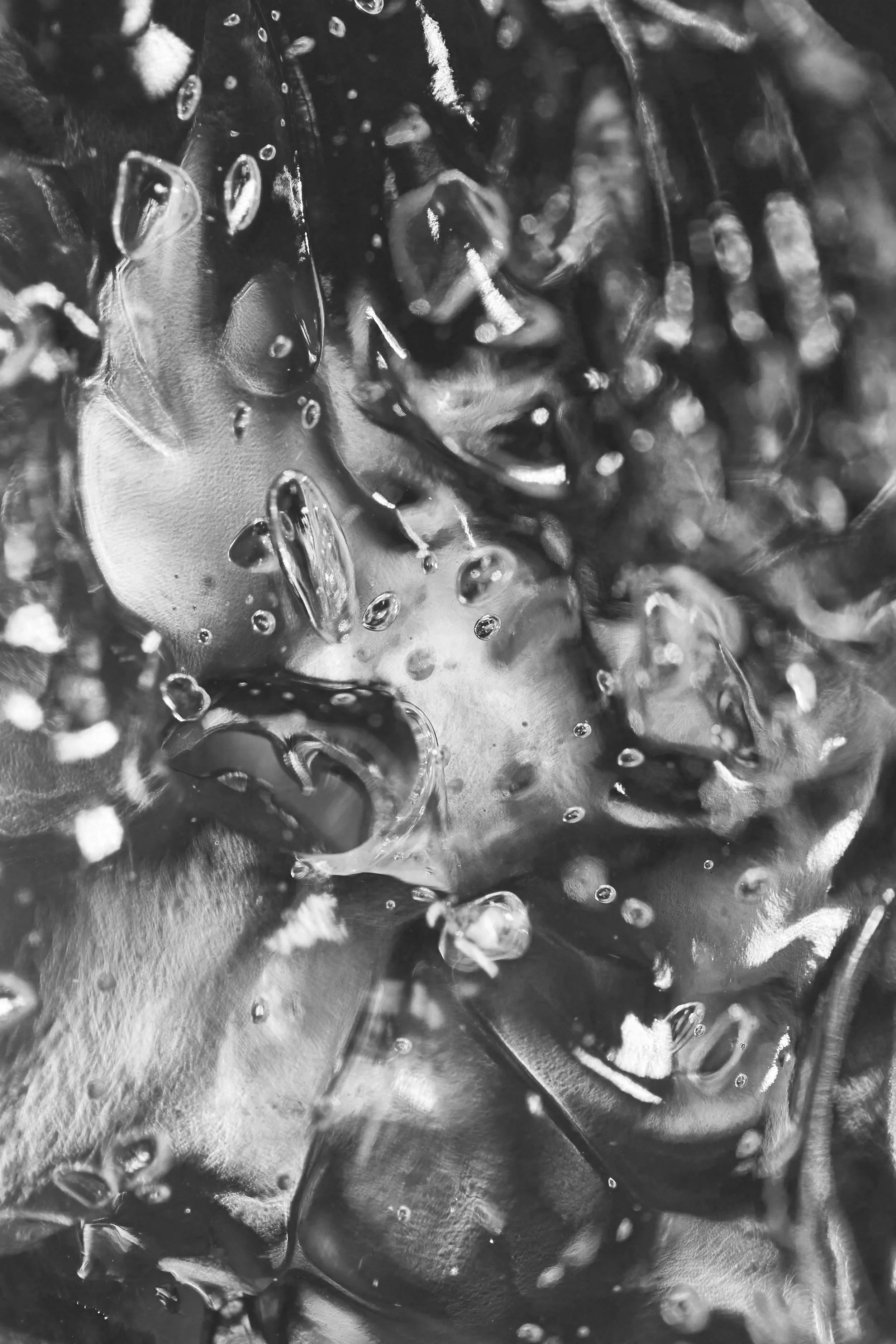 Close-up of ice cubes with water droplets on their surfaces.