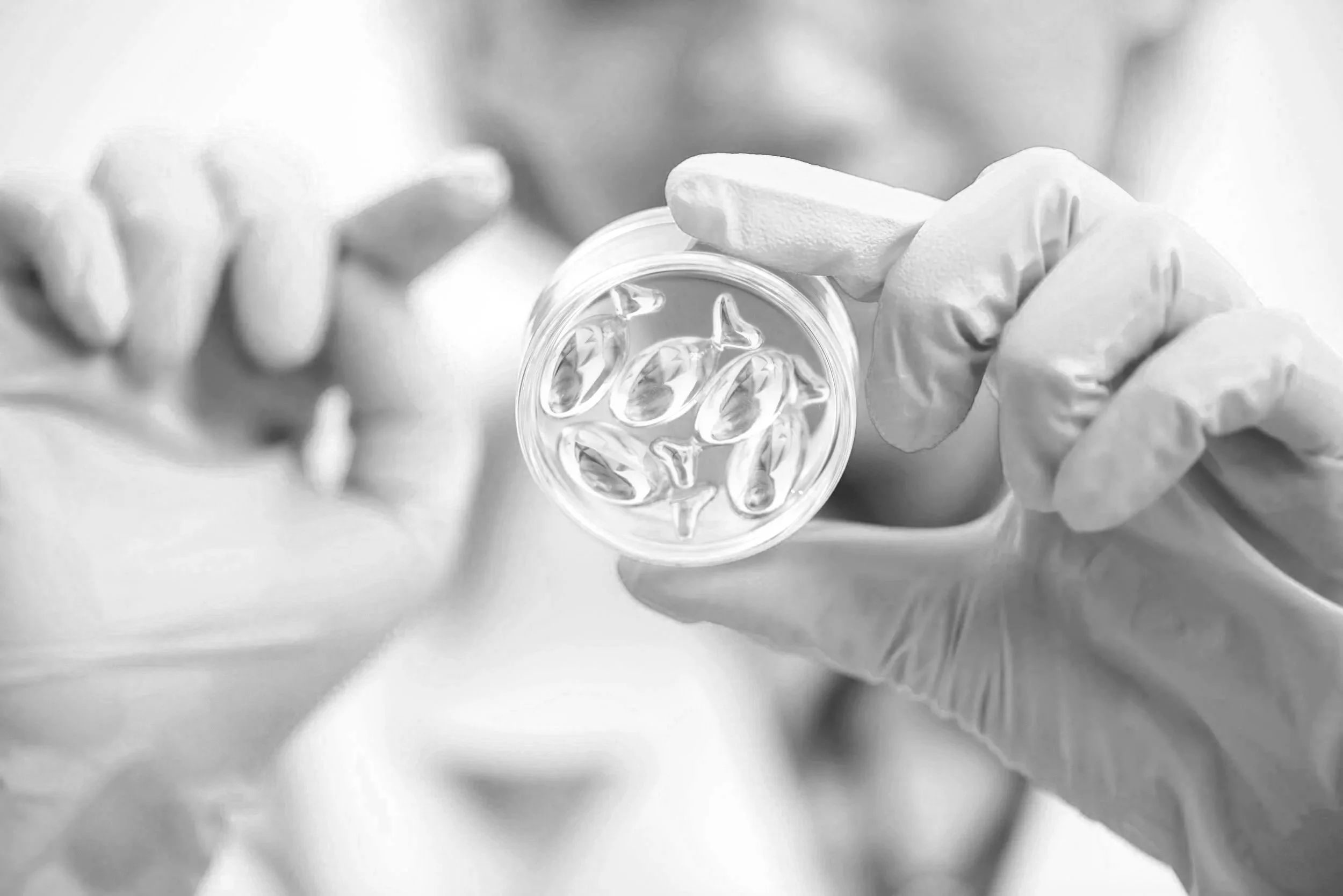 Close-up of a gloved hand holding a petri dish with antibiotic capsules inside, with another person in the background.