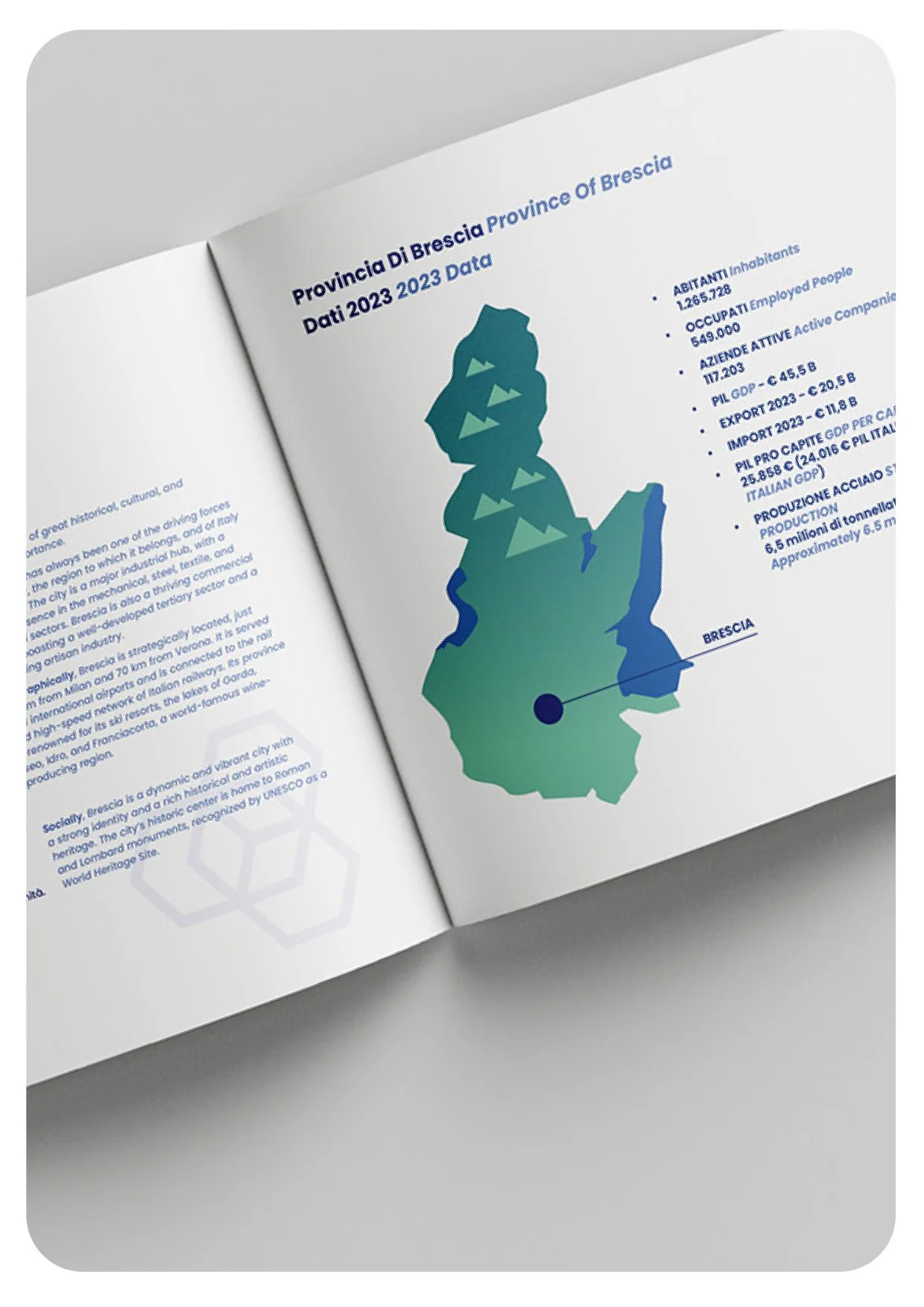 Confapi brochure istituzionale.jpg