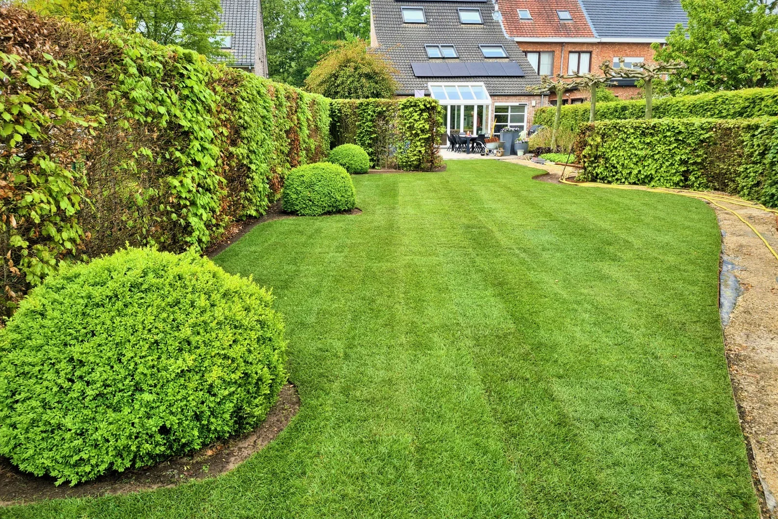 Well-maintained backyard with neatly trimmed grass, lush green shrubs, and a garden area with patio furniture, enclosed by tall hedges and trees, and a house with a conservatory in the background.