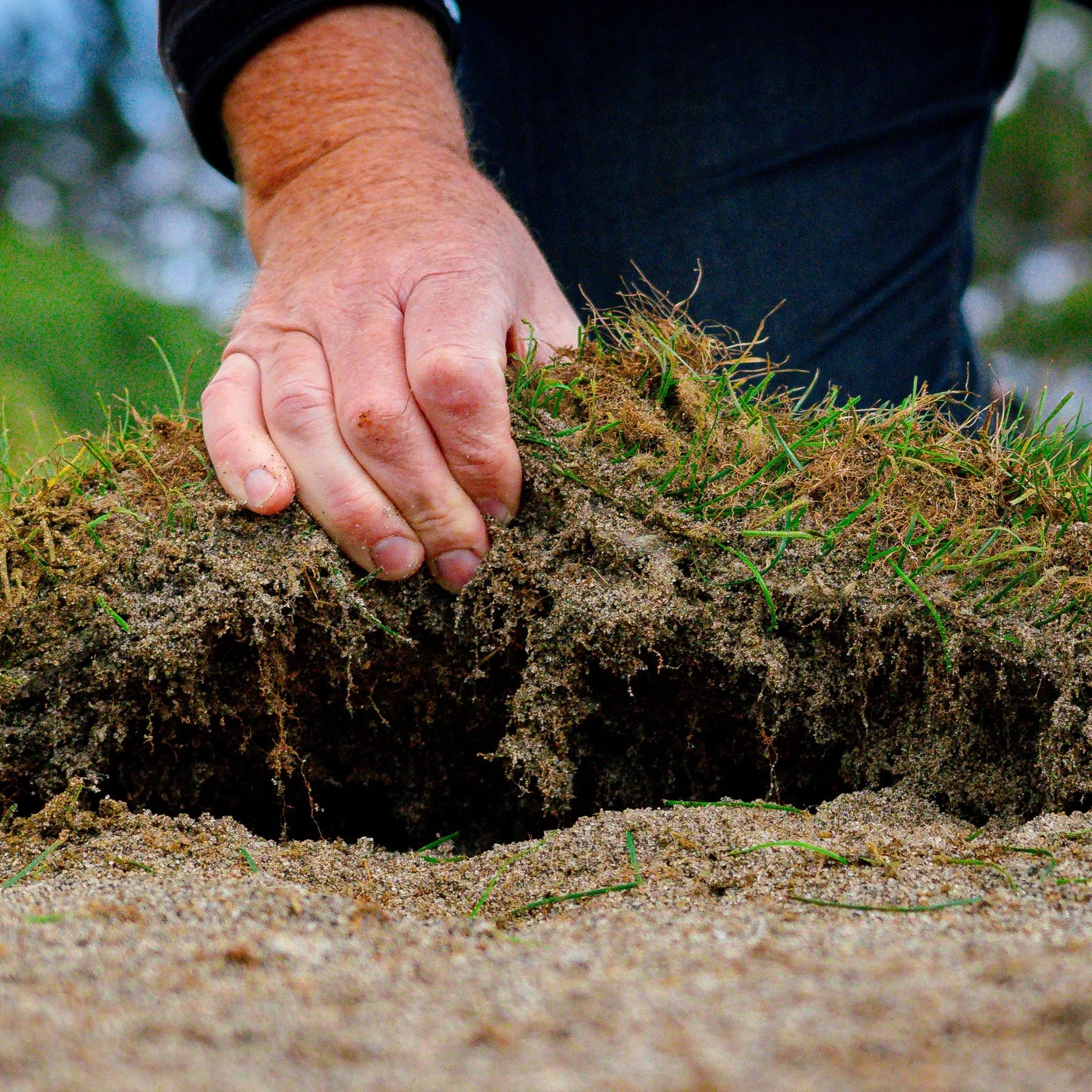 Close-up of a person’s hand in a black jacket pressing on loose soil and grass, partially covering a small hole in the ground.
