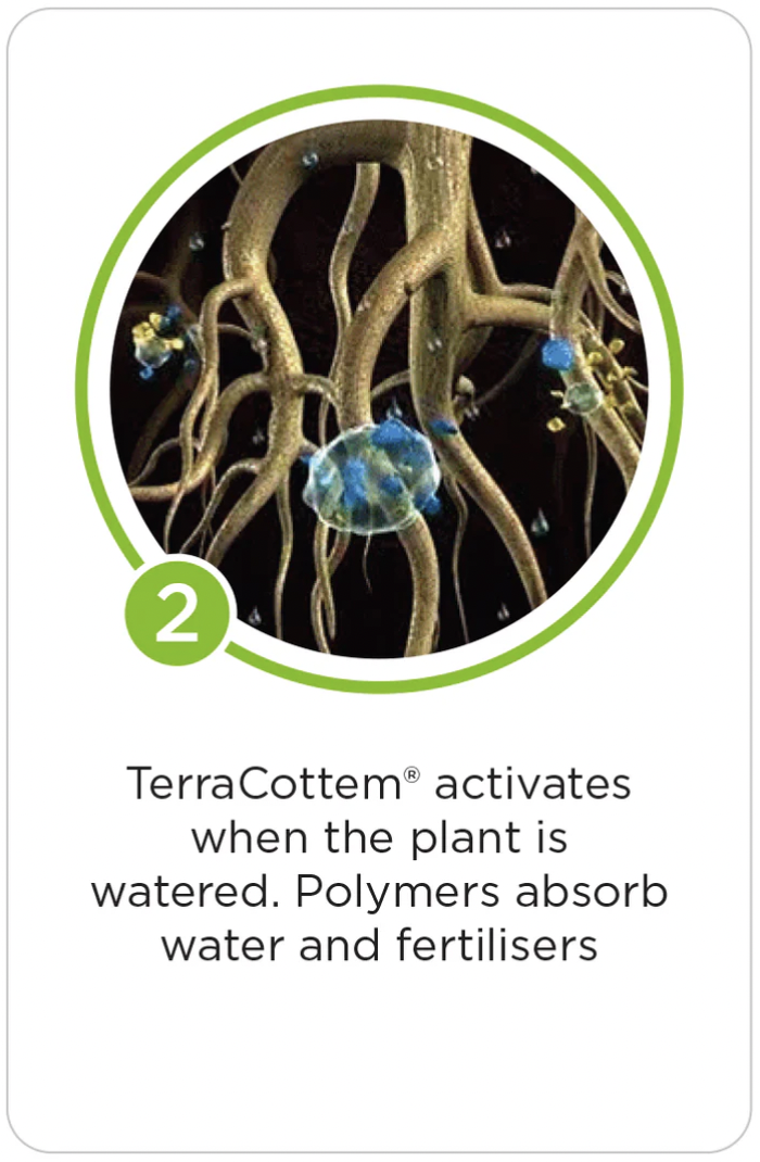 Close-up illustration of plant roots with blue and yellow polymer particles attached, demonstrating polymer absorption of water when the plant is watered.