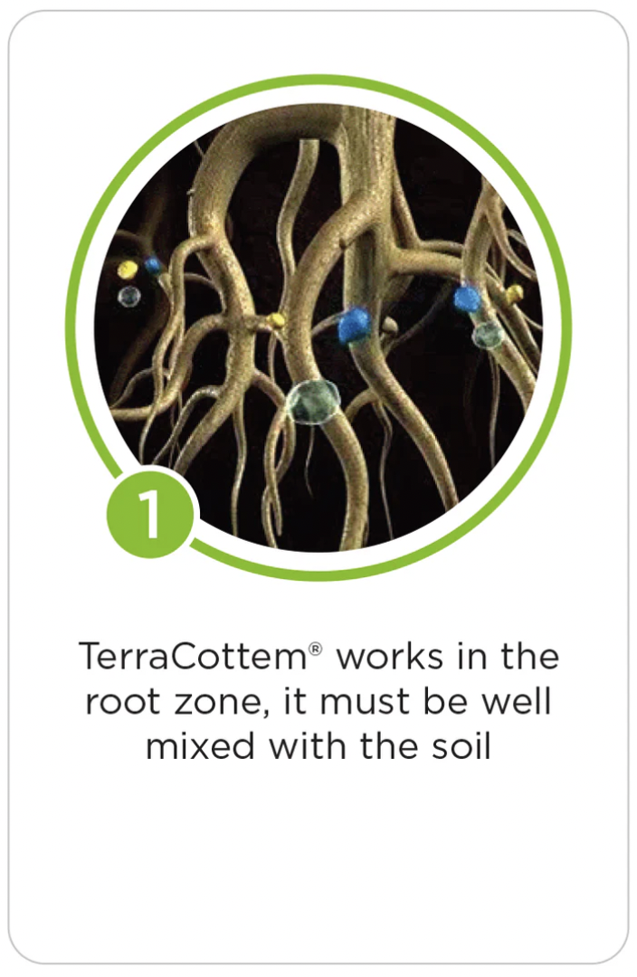 Close-up of plant roots with small colored balls attached and soil particles, representing root zone soil conditions.
