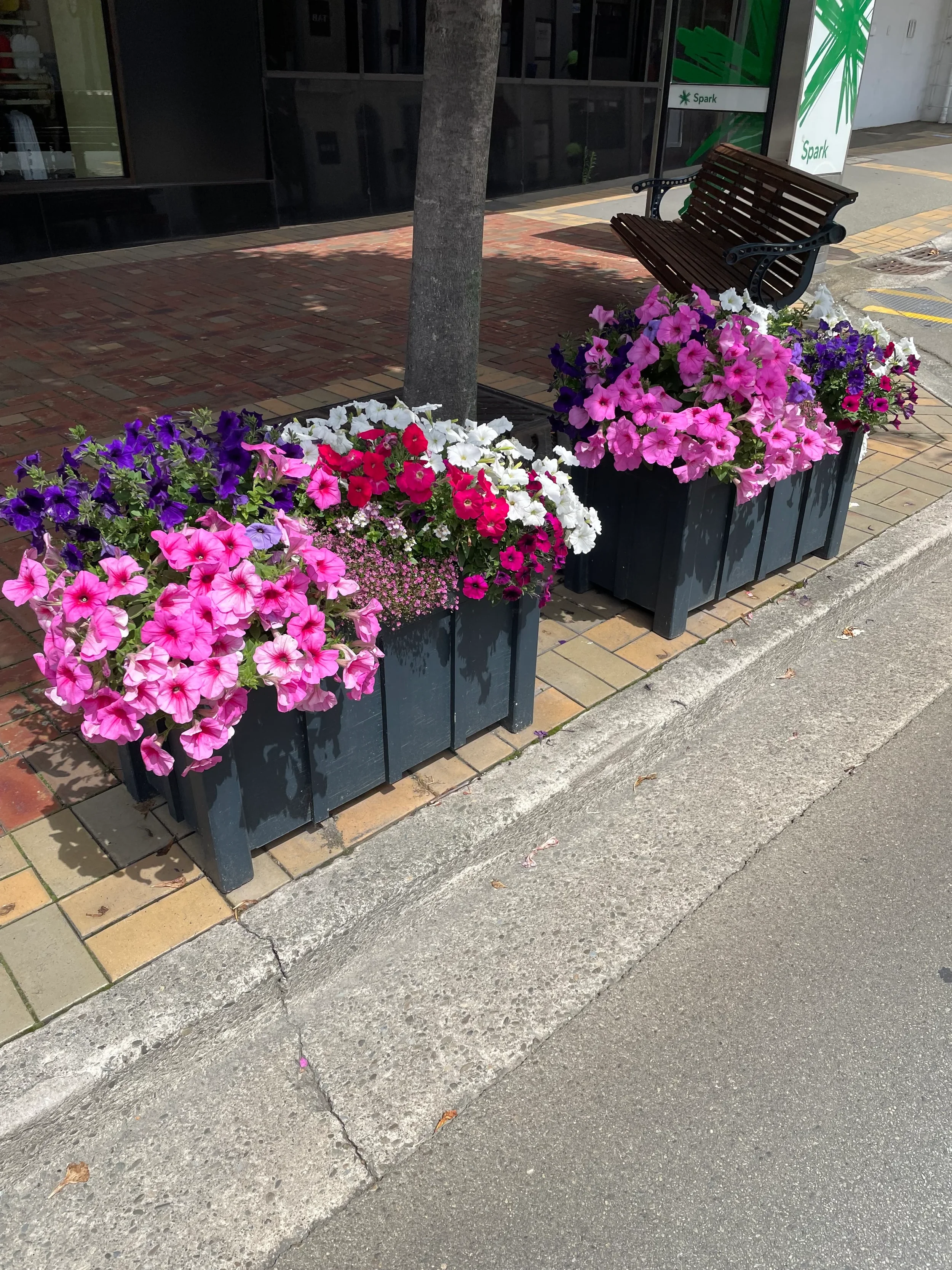 A sidewalk with a flower planter, a park bench, a tree, and a building with windows in the background.