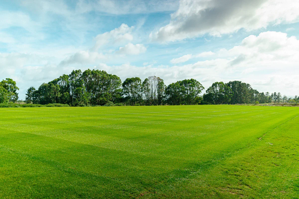 A green grassy field with a line of trees in the background under a partly cloudy sky.